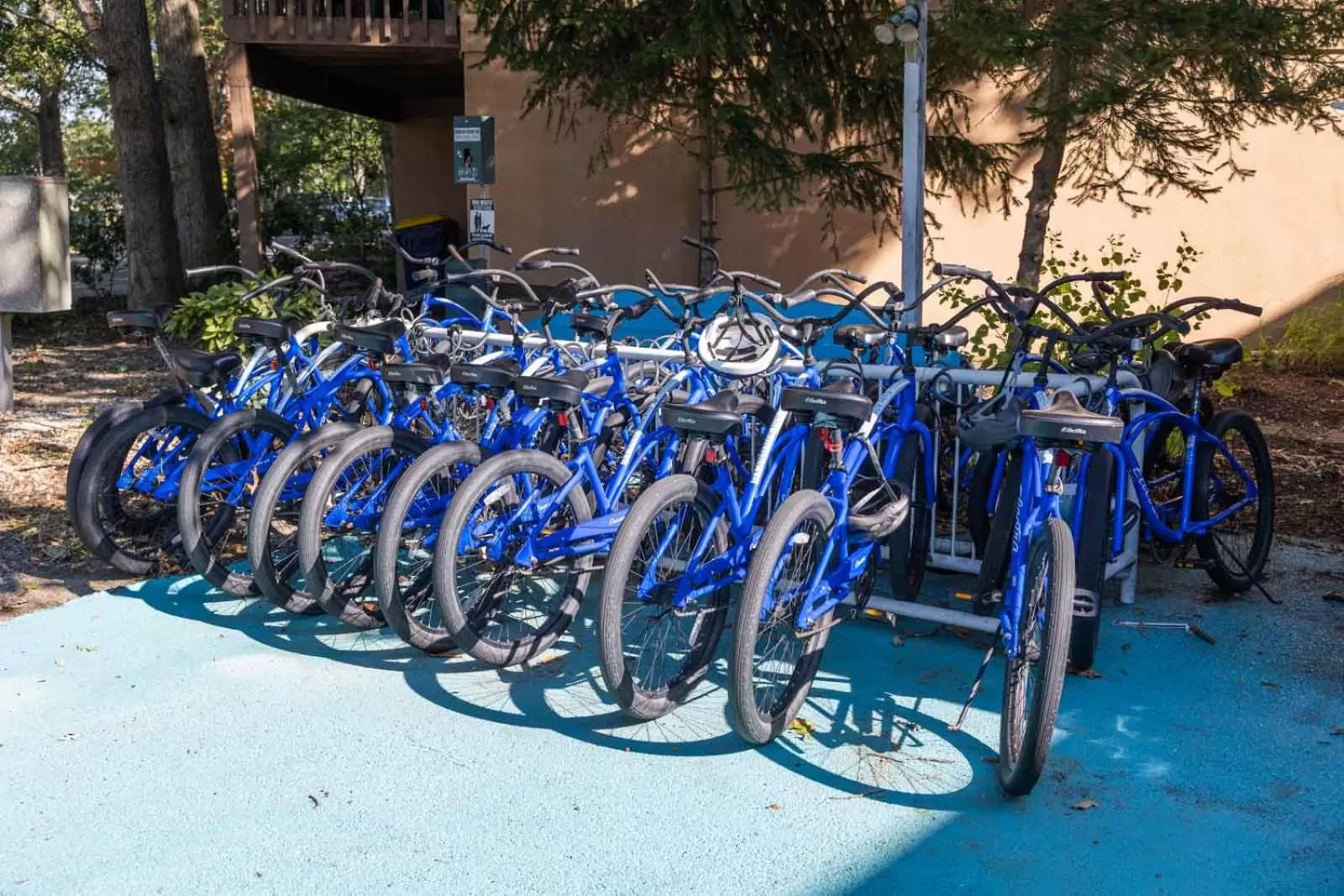 Day in Canalside Inn