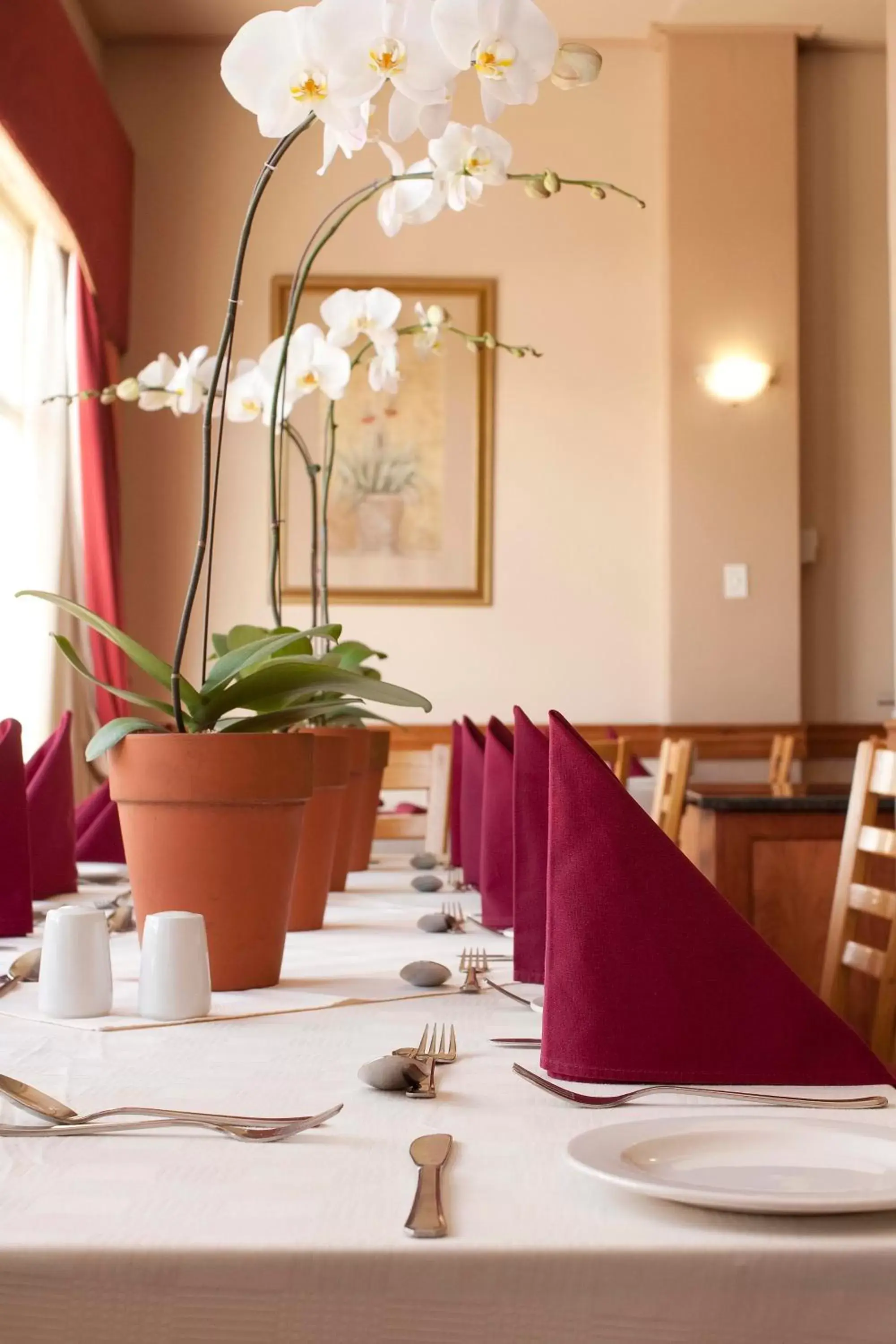 Restaurant/places to eat in Apollo Hotel Restaurant/places to eat in Apollo Hotel