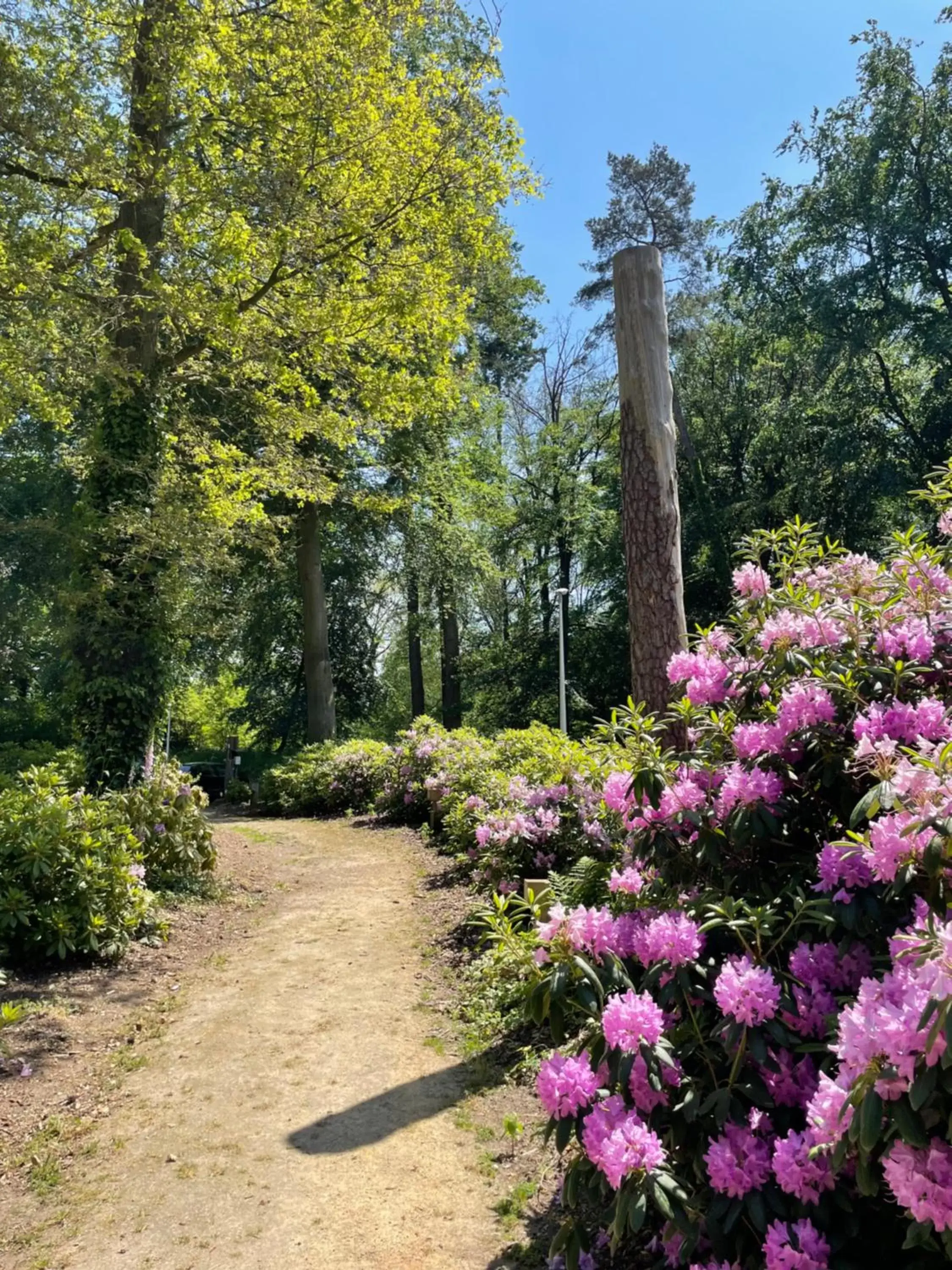 Garden in Hotel Erve Hulsbeek