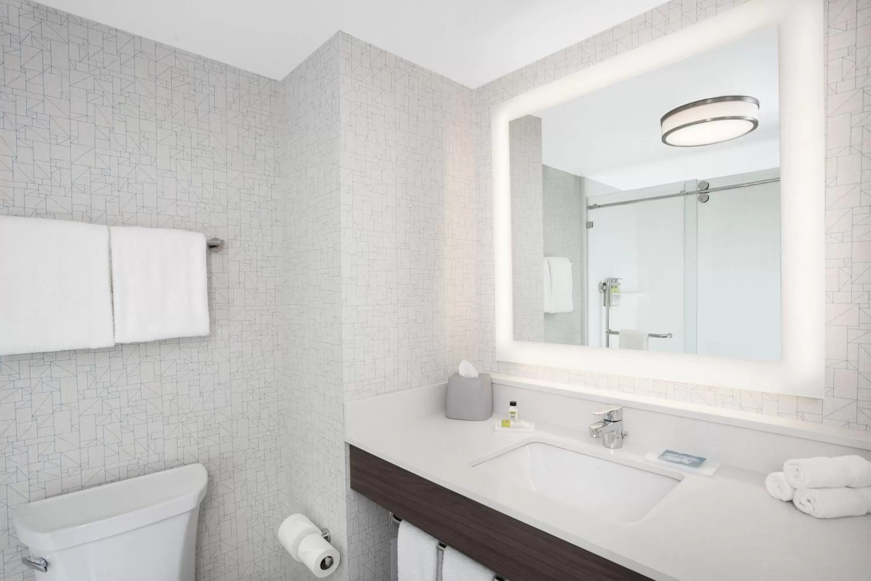 Bathroom in Holiday Inn Express Hotel & Suites Ottawa Airport, an IHG Hotel