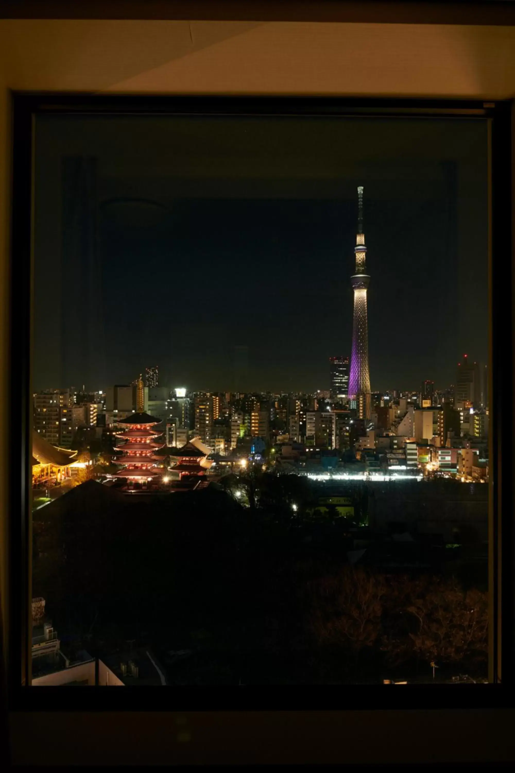 View (from property/room) in Richmond Hotel Premier Asakusa International