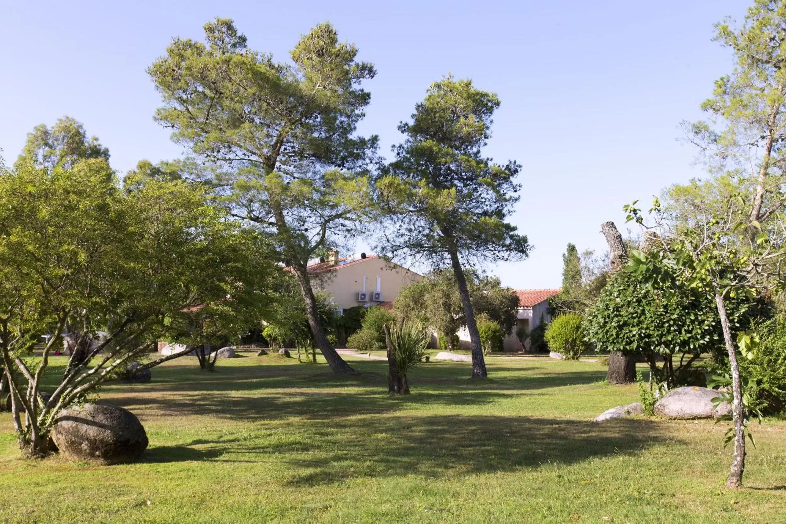 Natural landscape, Garden in San Giovanni