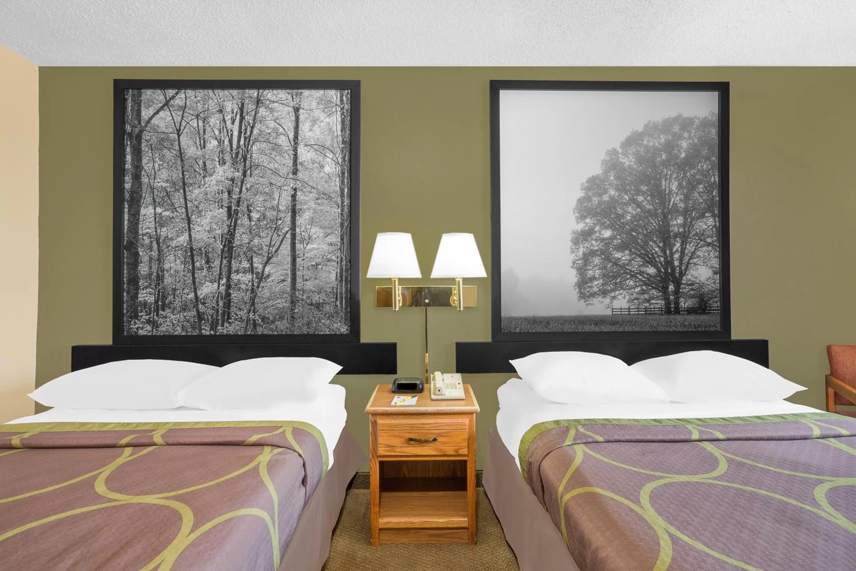 Photo of the whole room, Bed in Super 8 by Wyndham Roanoke VA