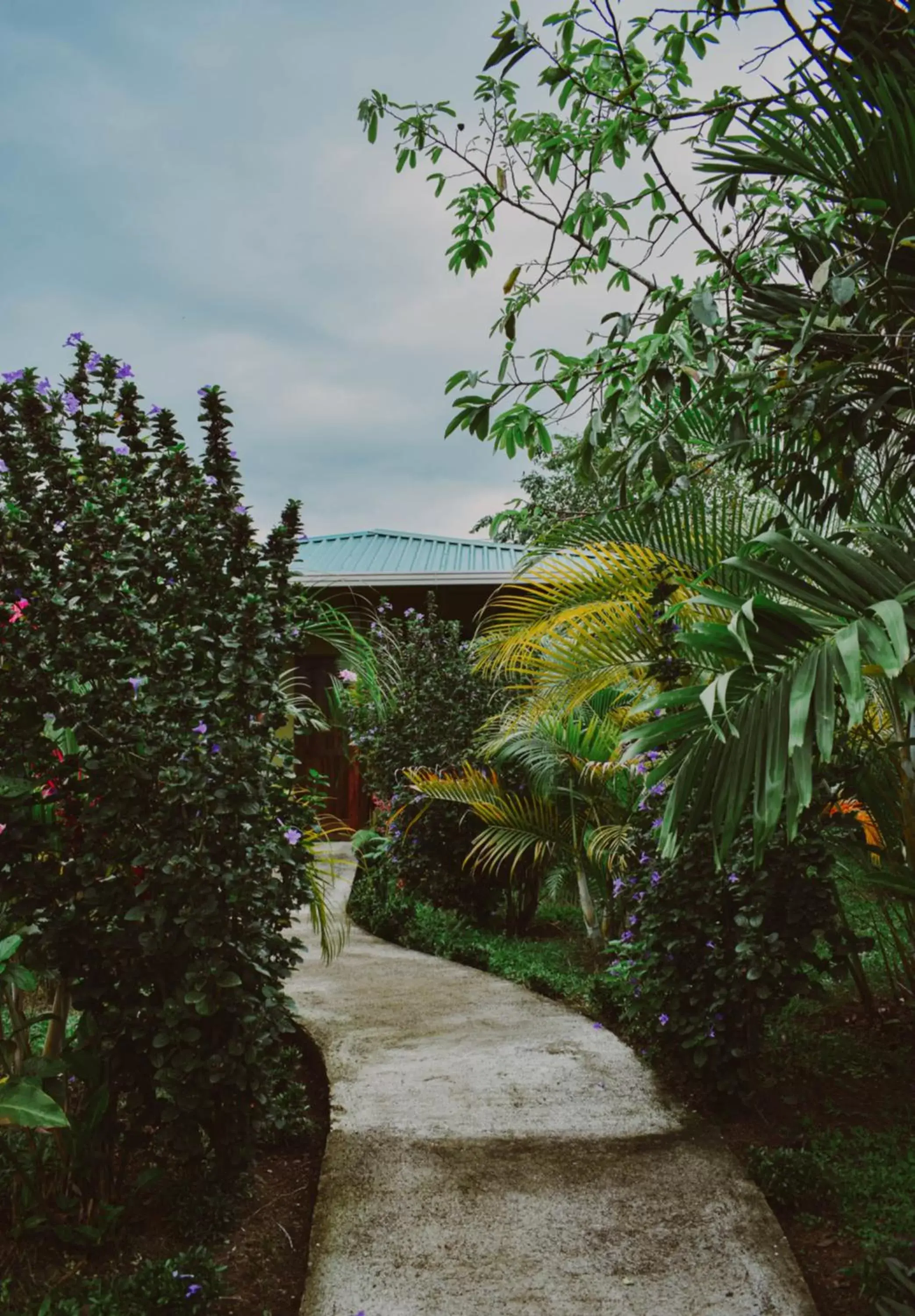 Garden in Arenal Descanso