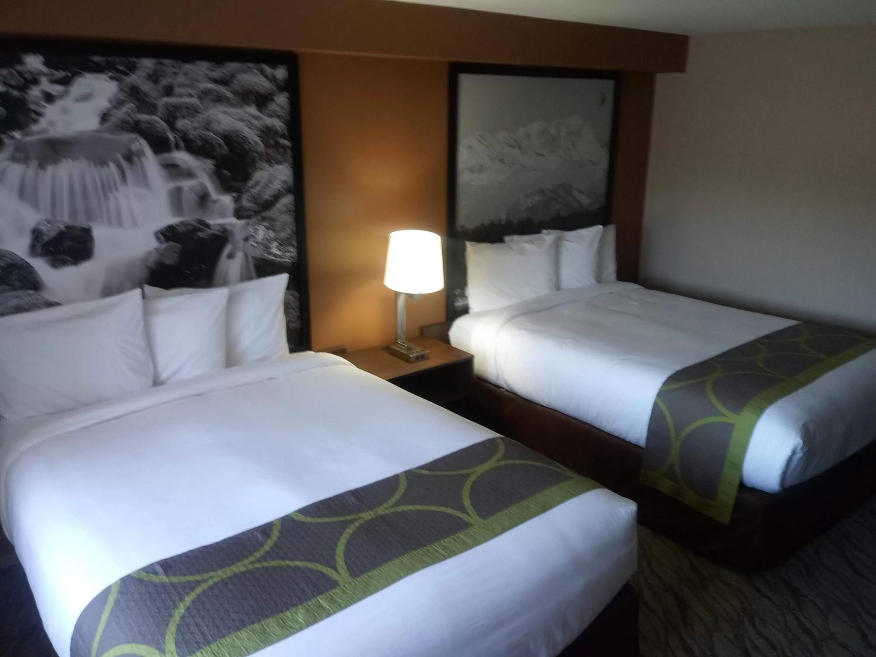 Photo of the whole room, Bed in Super 8 by Wyndham Lynnwood