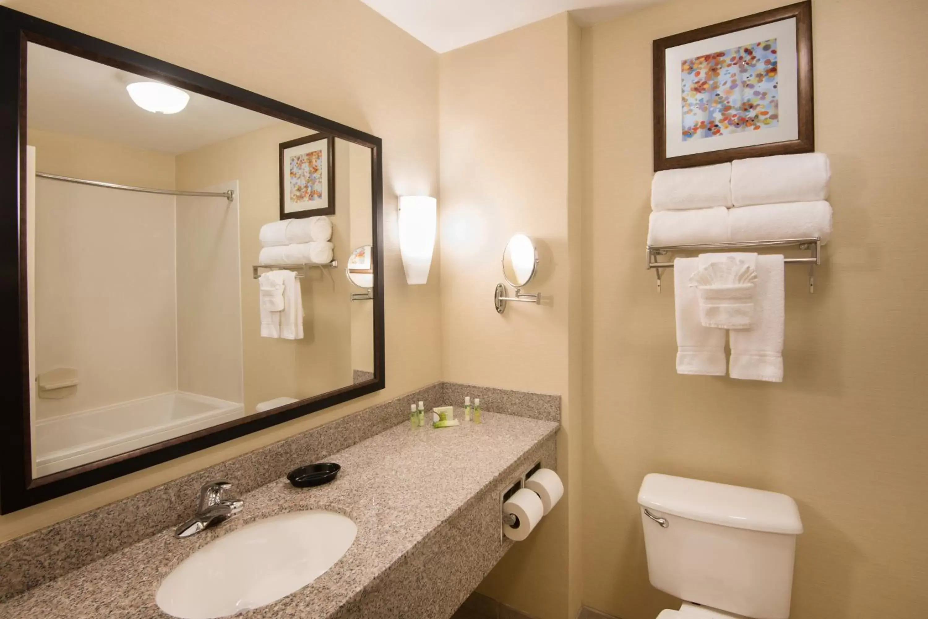 Photo of the whole room, Bathroom in Holiday Inn Express & Suites - Sharon-Hermitage, an IHG Hotel
