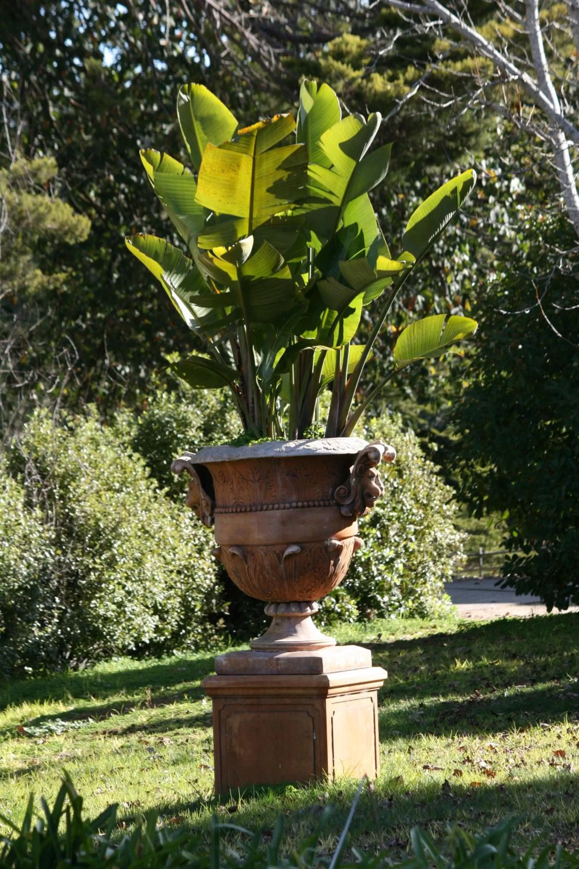 Garden in Pirralilla Estate Adelaide Hills