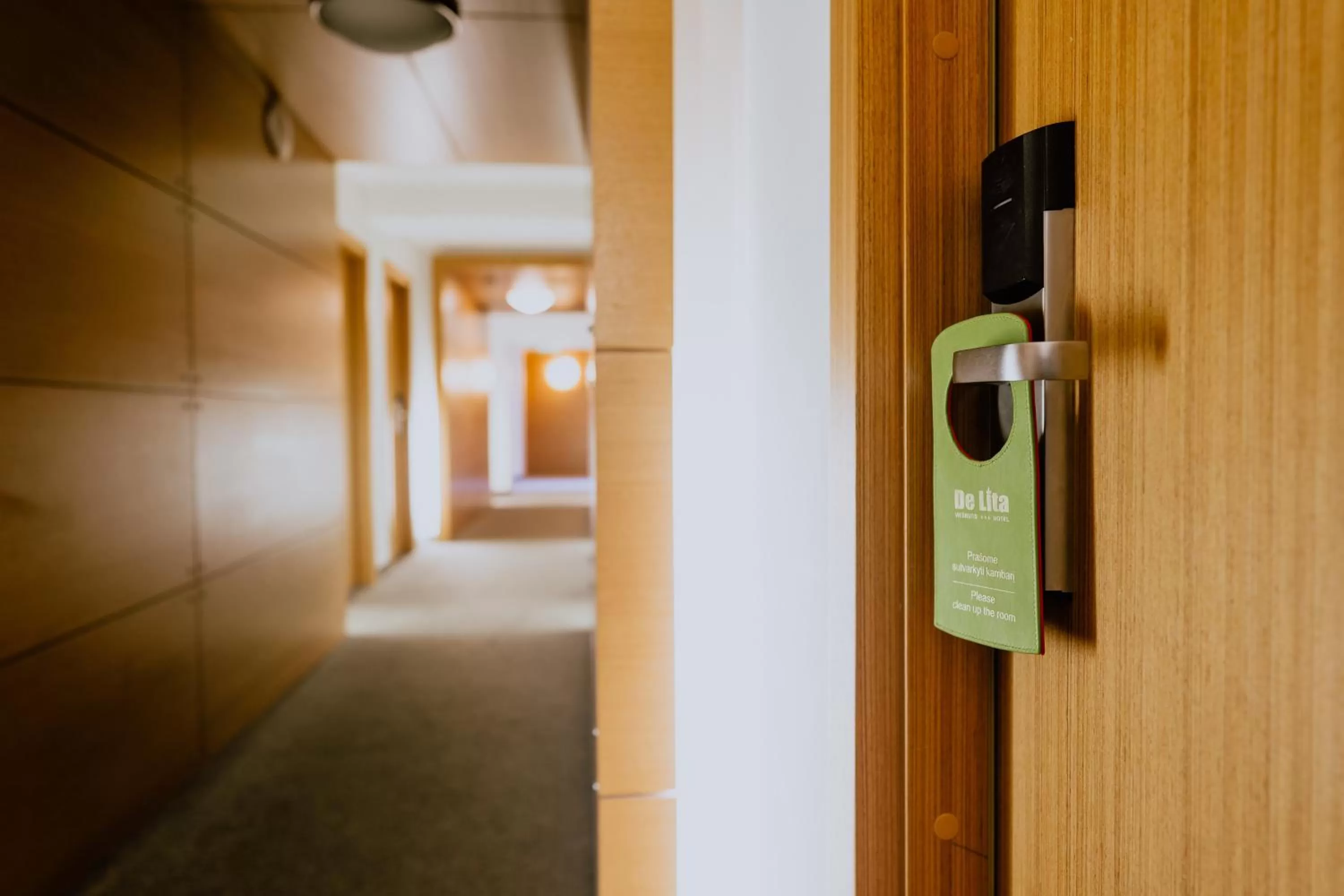 Decorative detail in De Lita