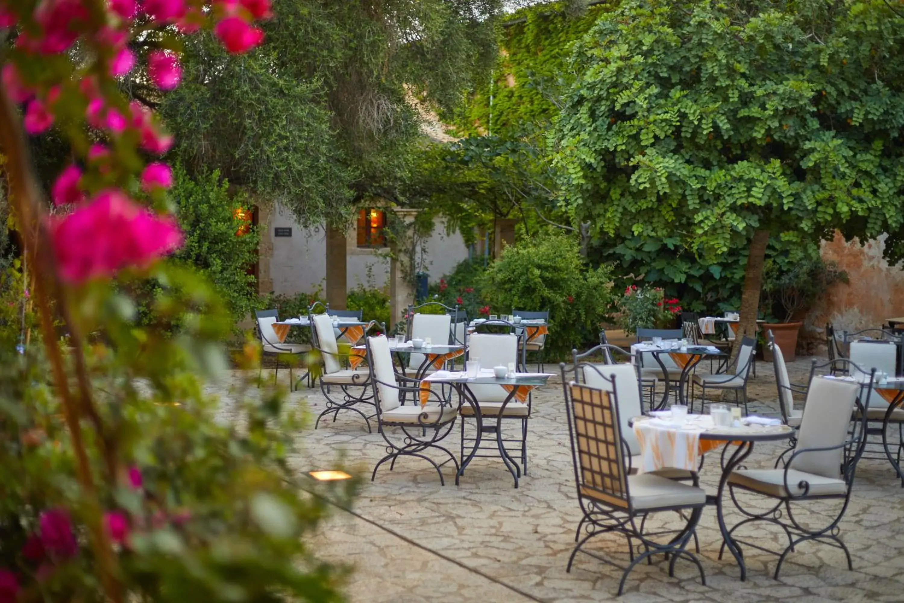 Restaurant/Places to Eat in Zoetry Mallorca Wellness & Spa