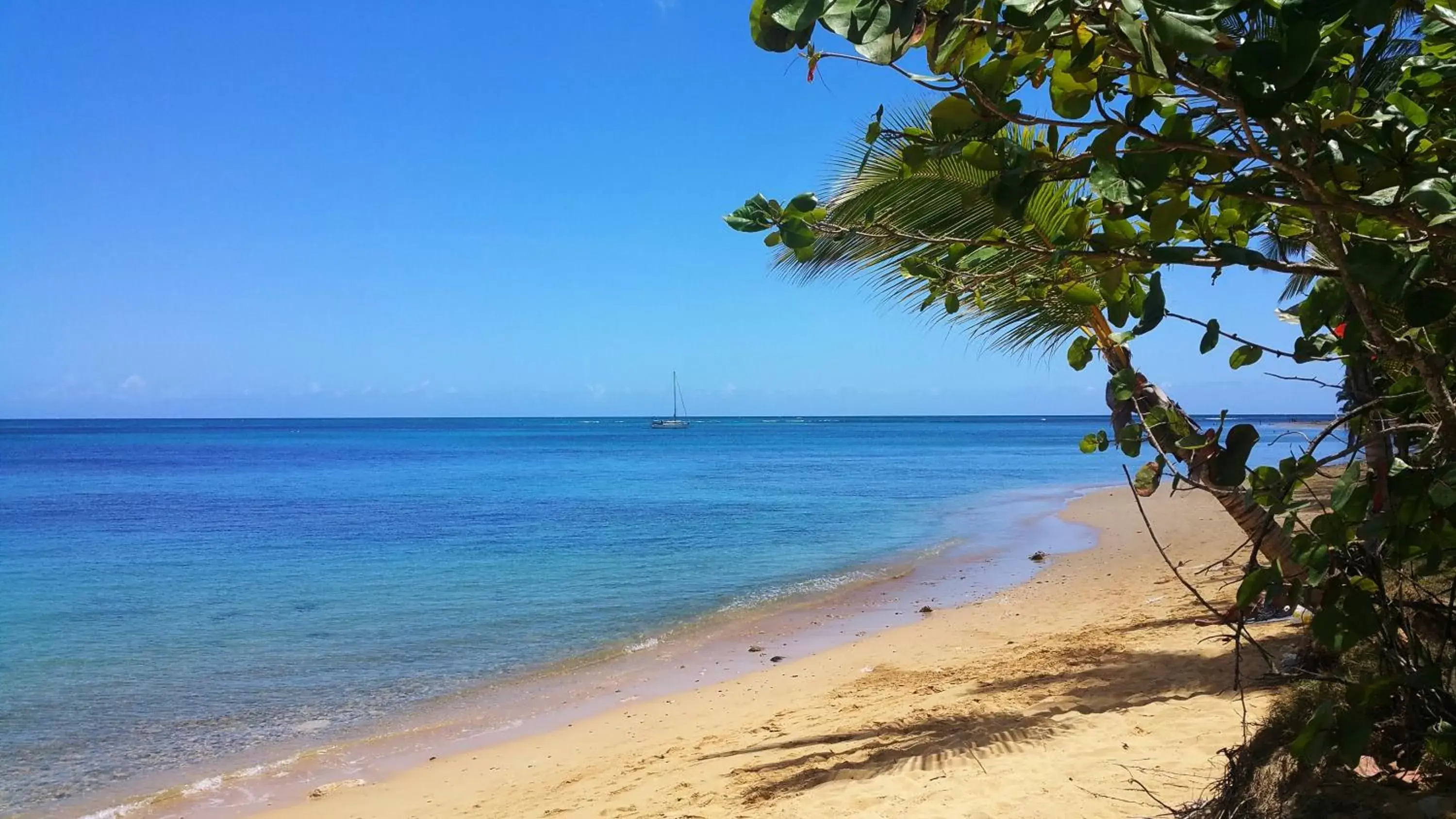 Beach in Aligio Apart-hotel & Spa - Las Terrenas