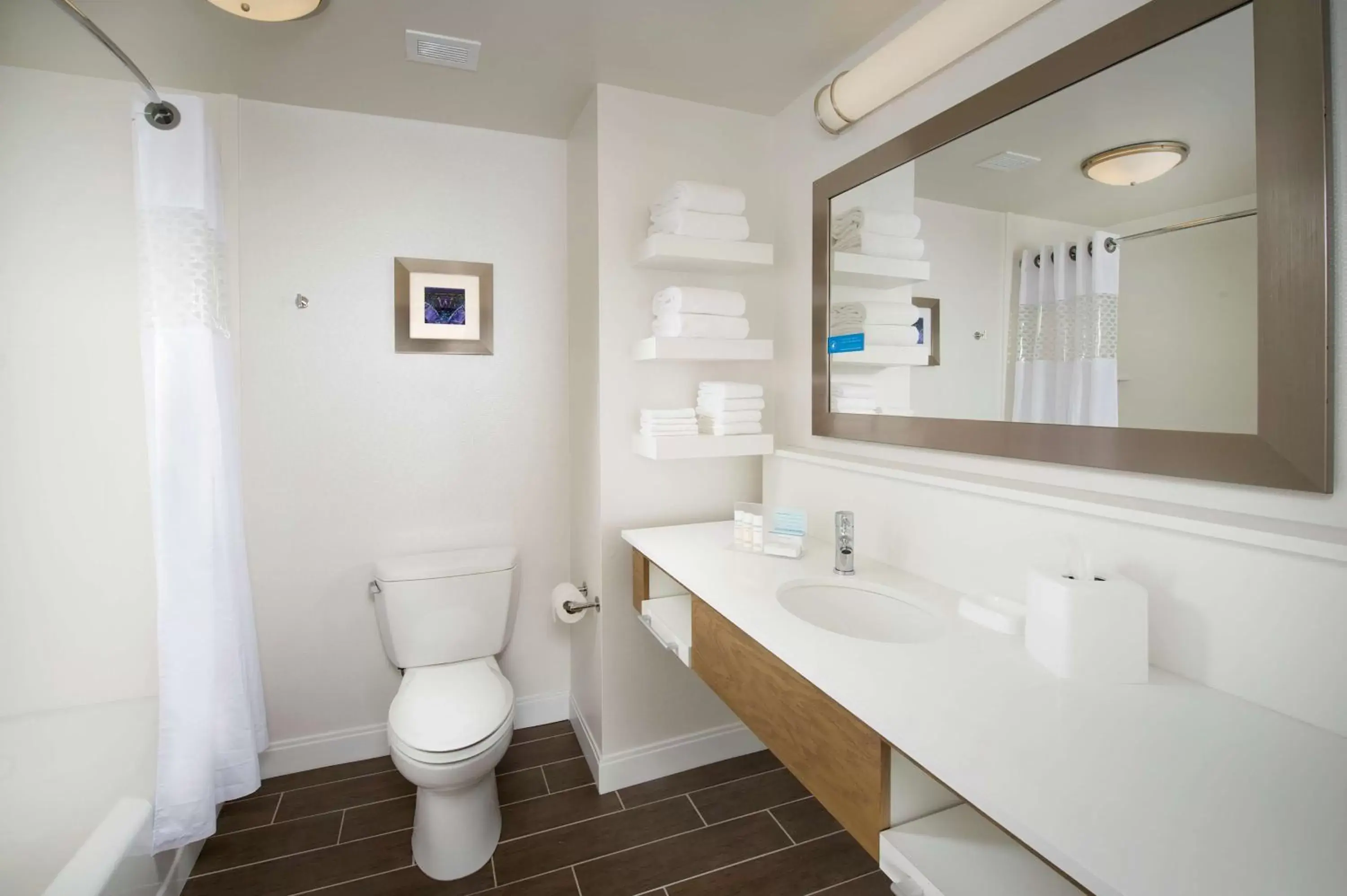 Bathroom in Hampton Inn & Suites Syracuse/Carrier Circle
