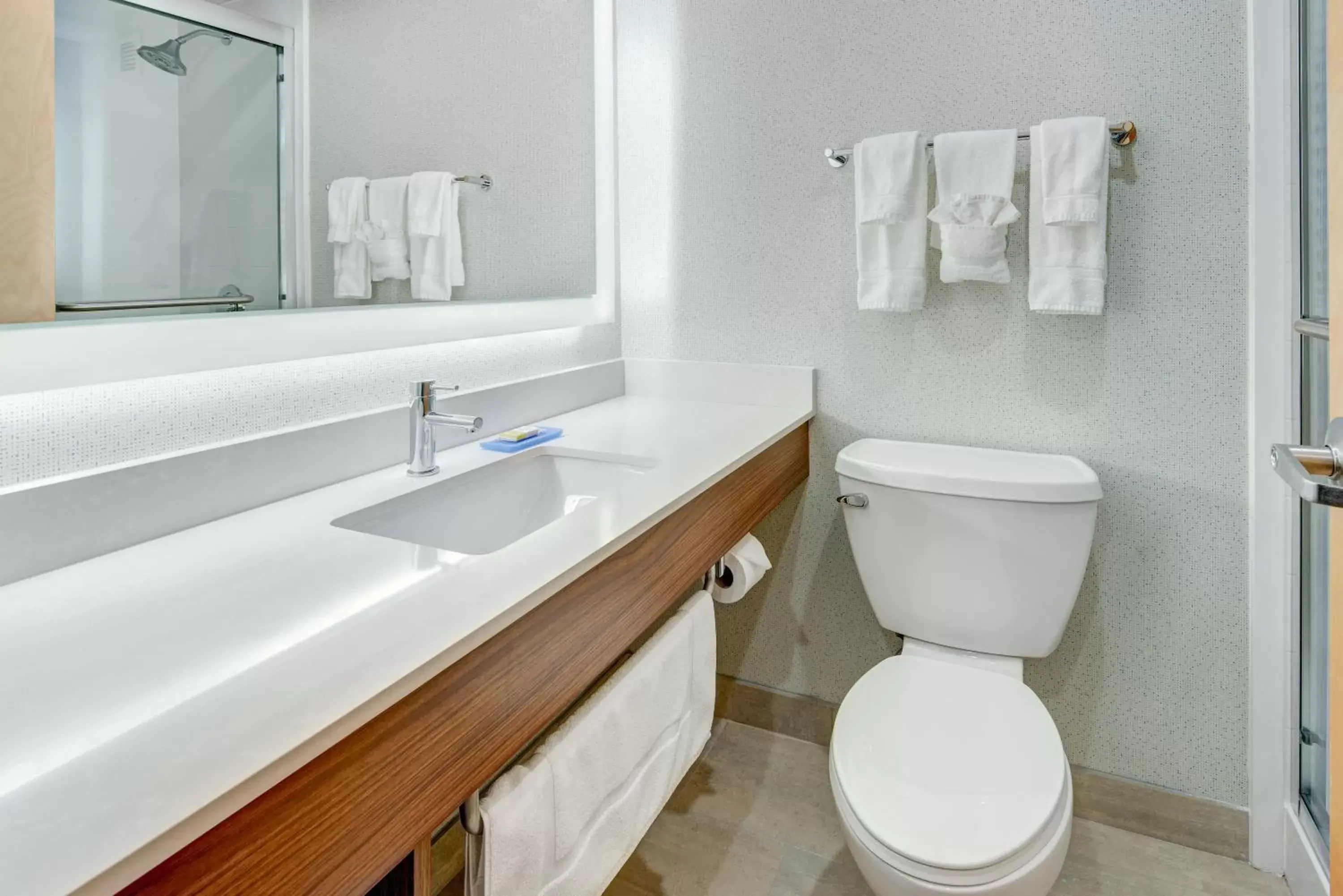 Bathroom in Holiday Inn Express & Suites West Long Branch - Eatontown, an IHG Hotel
