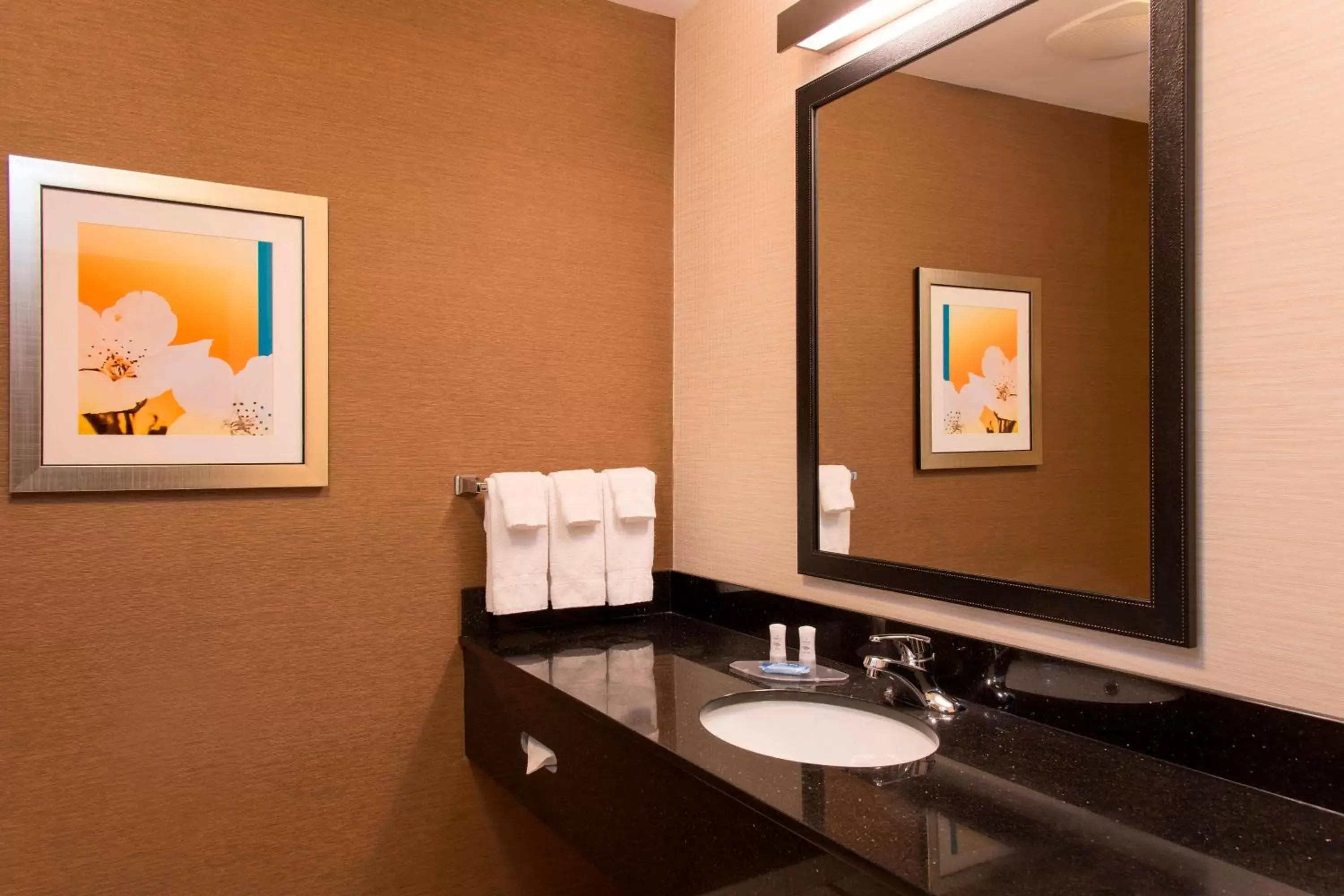 Bathroom in Fairfield Inn and Suites by Marriott Chicago St. Charles