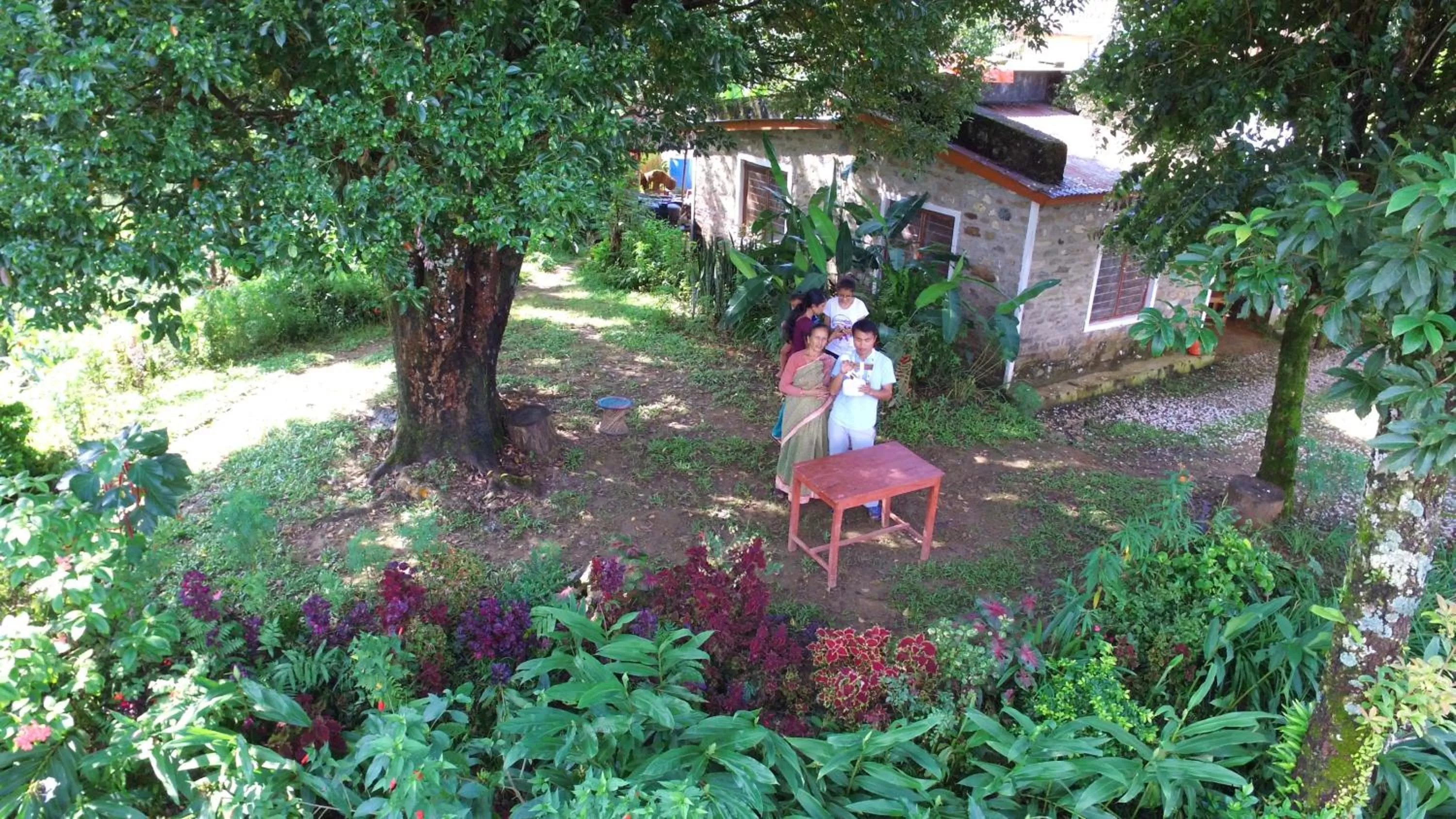 Other Animals in Dinesh House