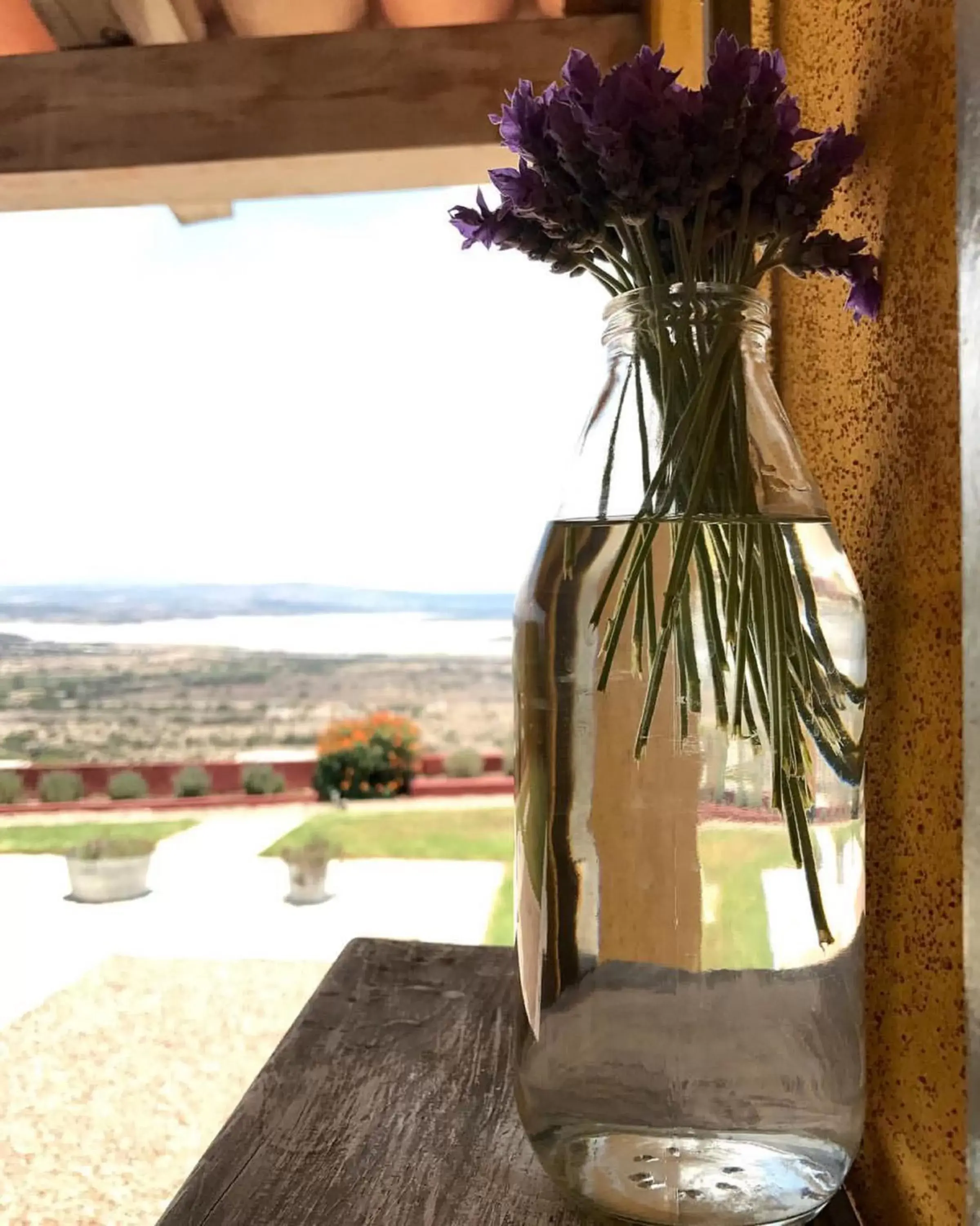 Balcony/Terrace in View Hotel Boutique