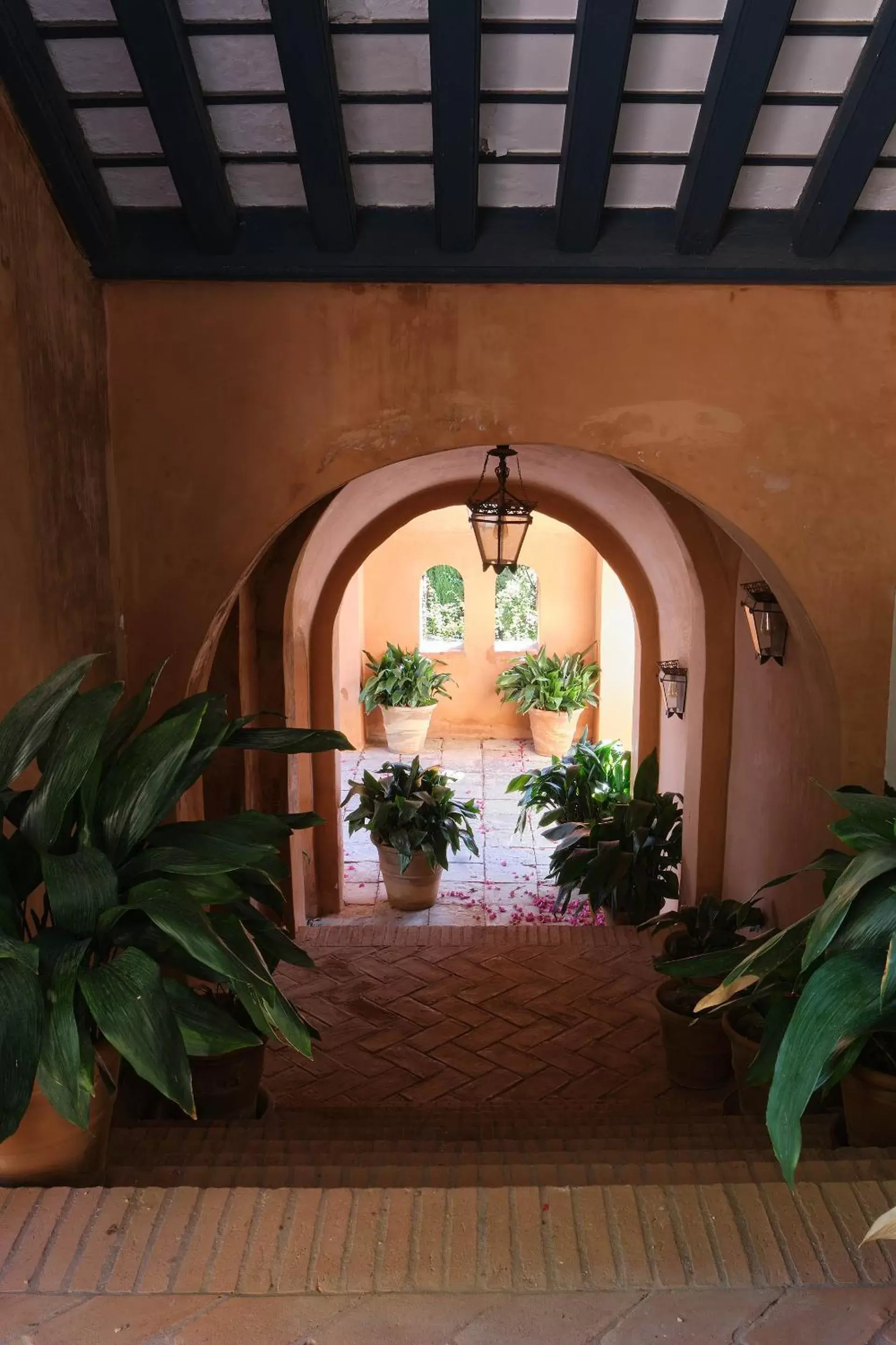 Patio in Soho Boutique Castillo de Santa Catalina - Adults Recommended