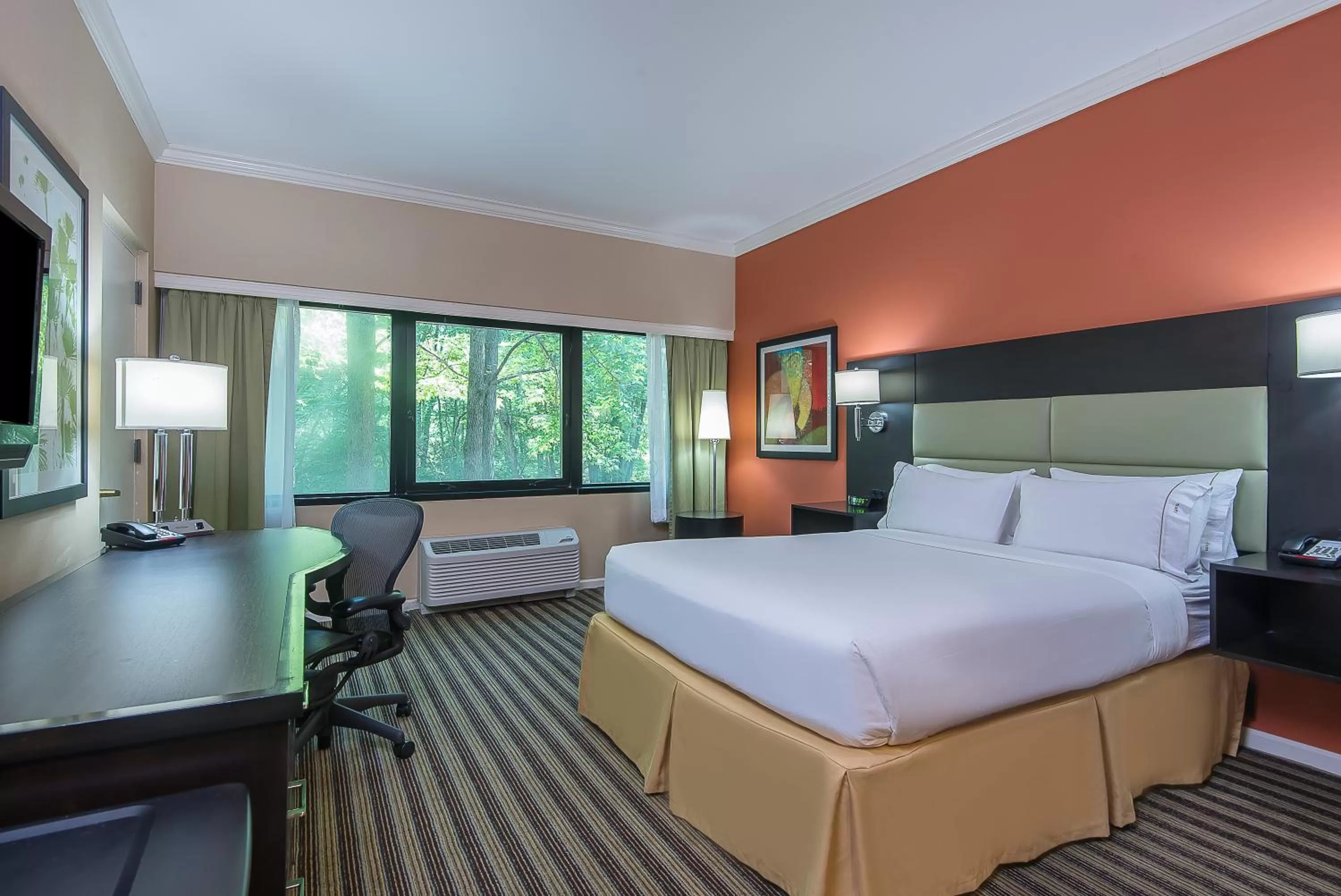 Queen Room with Roll-In Shower - Disability Access in Holiday Inn Express Princeton Southeast, an IHG Hotel