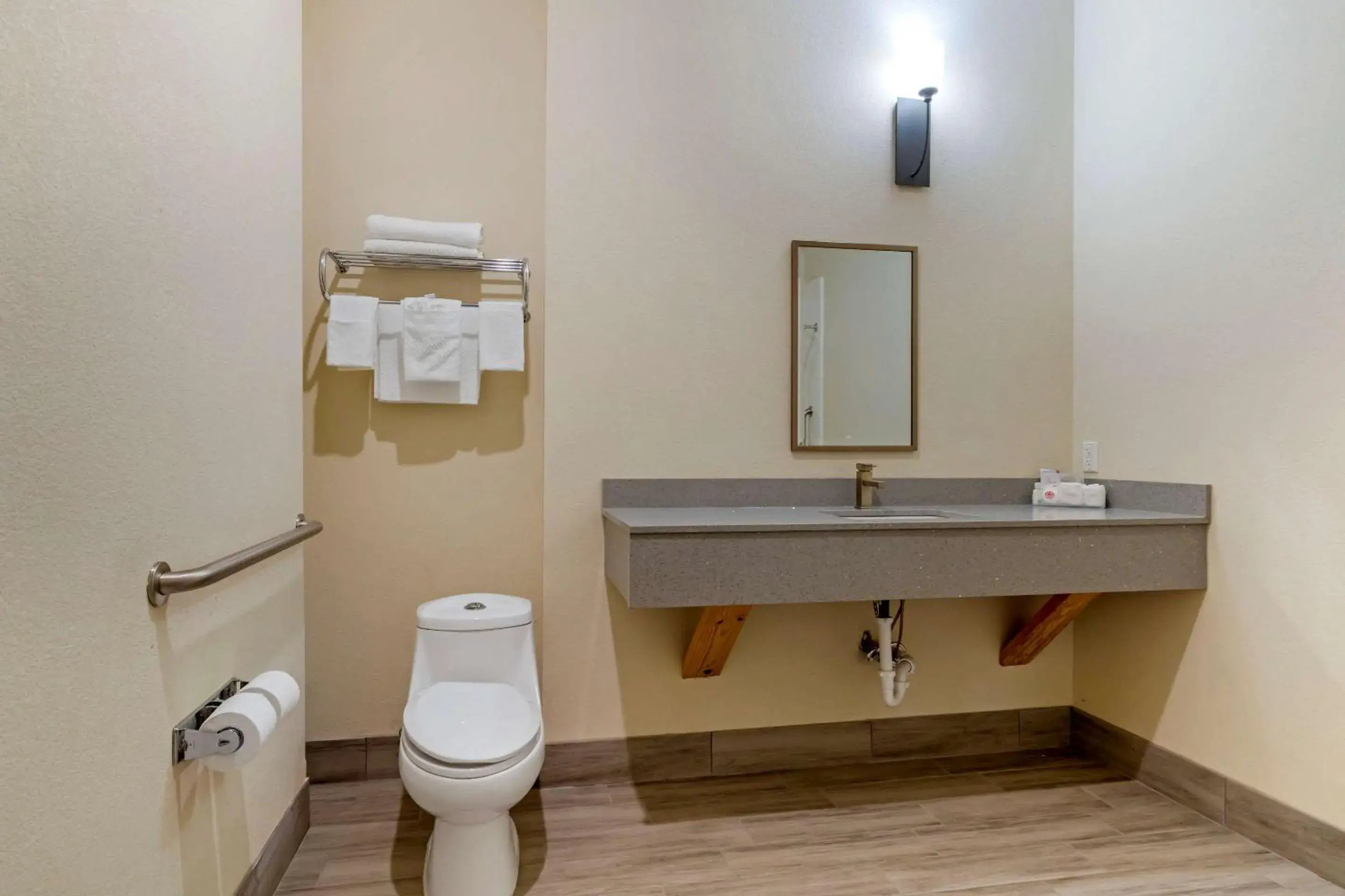 Bathroom in Quality Inn & Suites Elgin by Choice Hotels