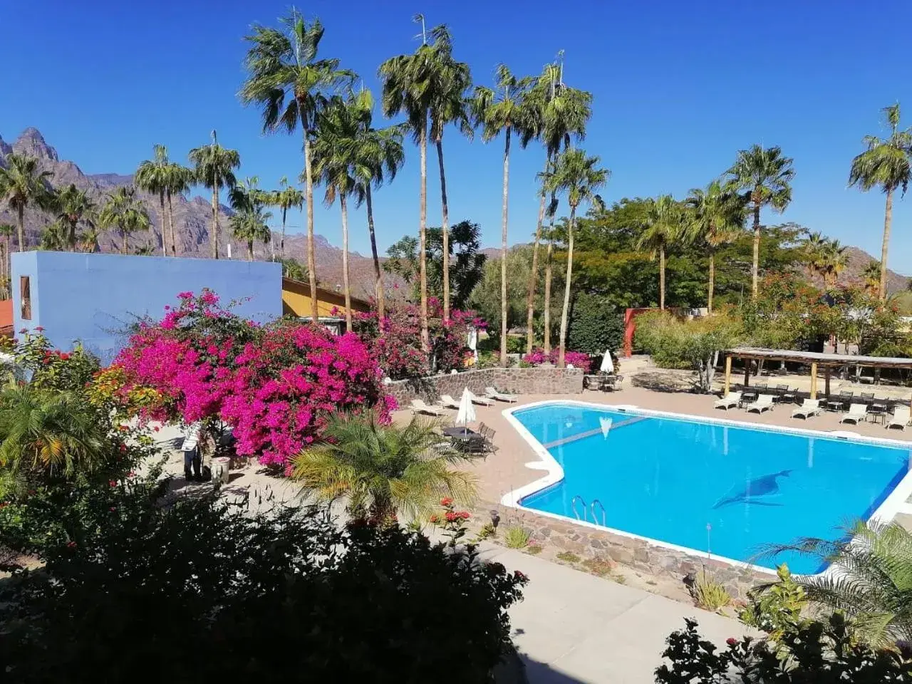 Swimming pool, Pool View in Tripui Hotel