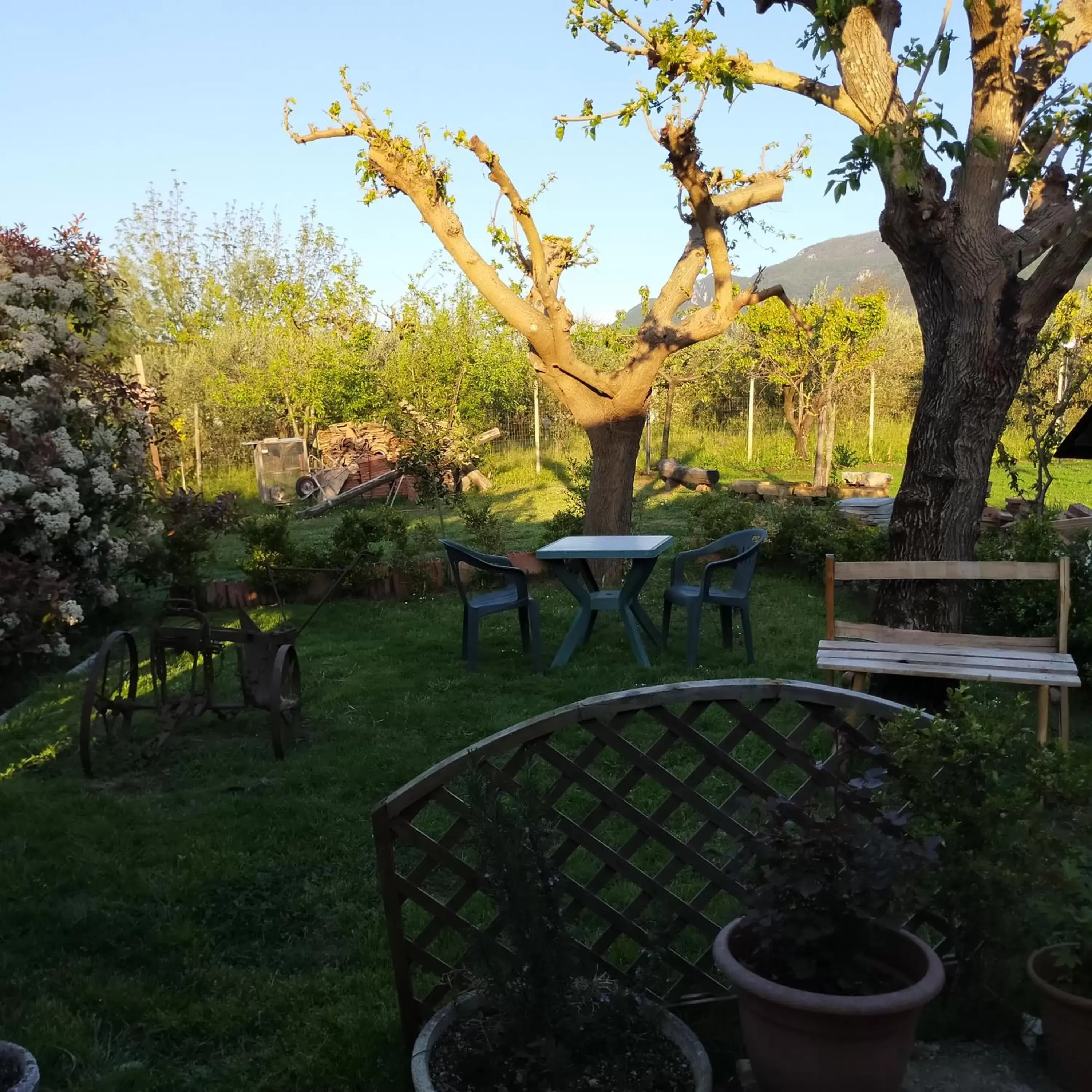 B&B il giardino di Eolo