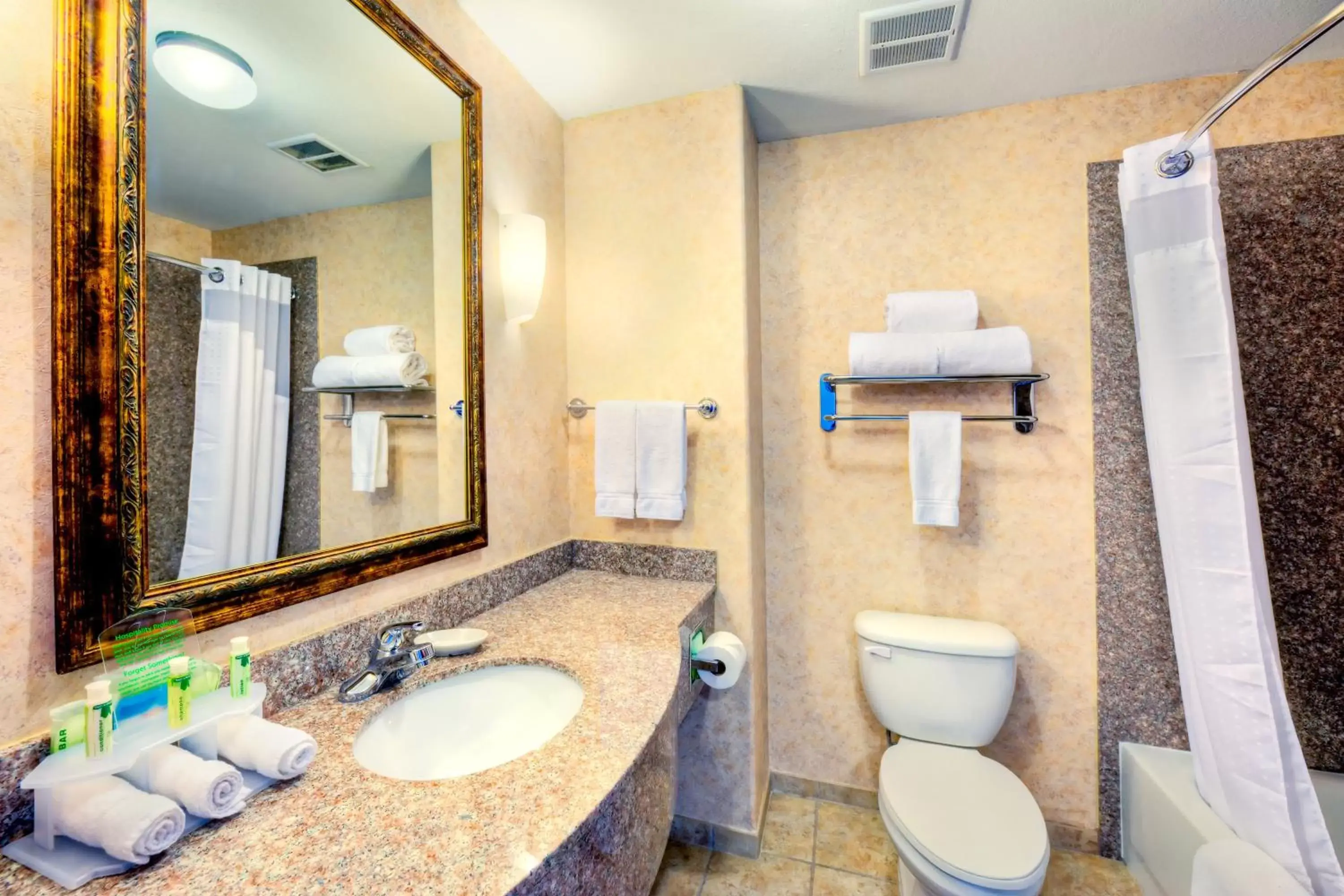 Bathroom in Holiday Inn Express and Suites Granbury, an IHG Hotel