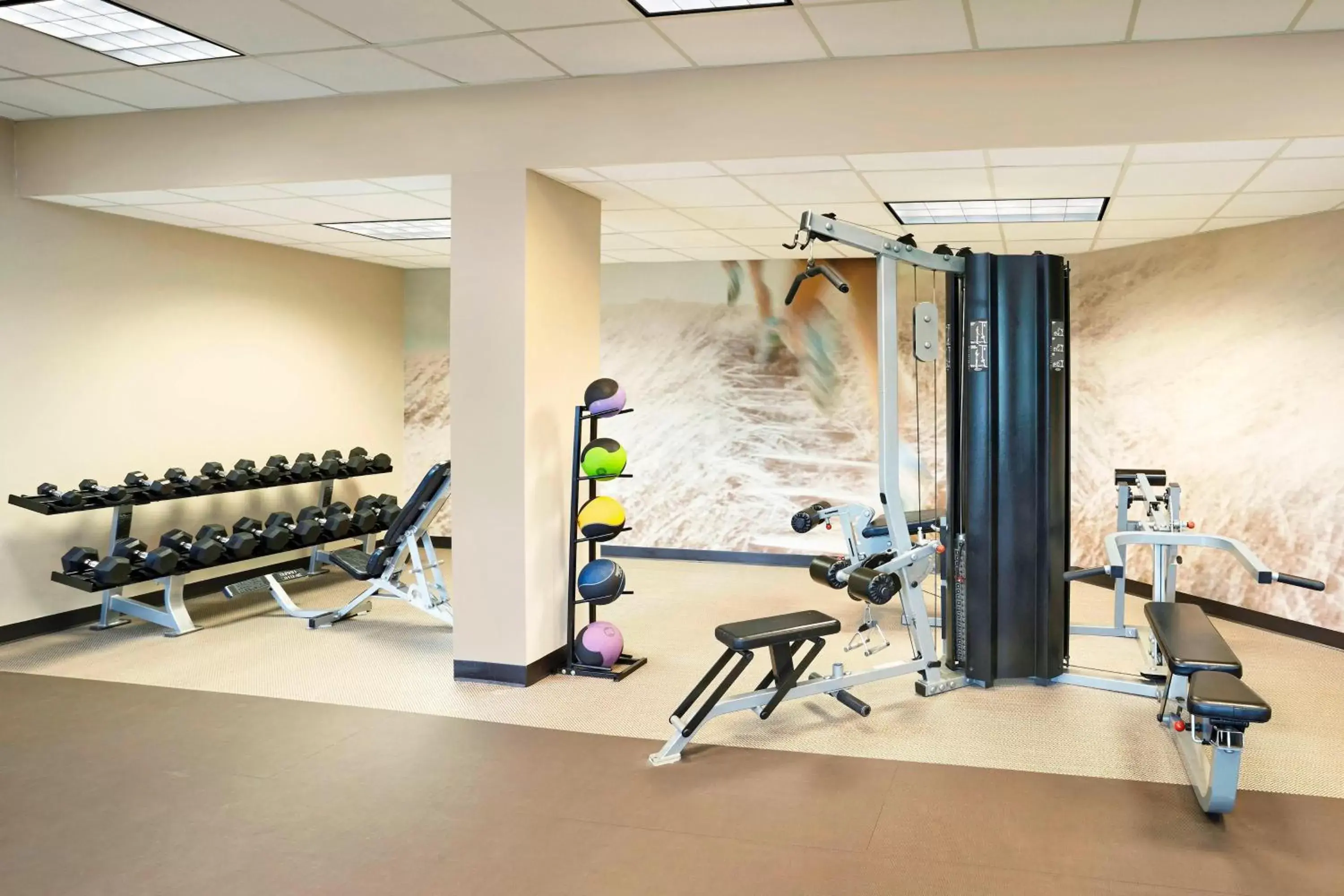 Fitness centre/facilities, Fitness Center/Facilities in The Westin Trillium House, Blue Mountain