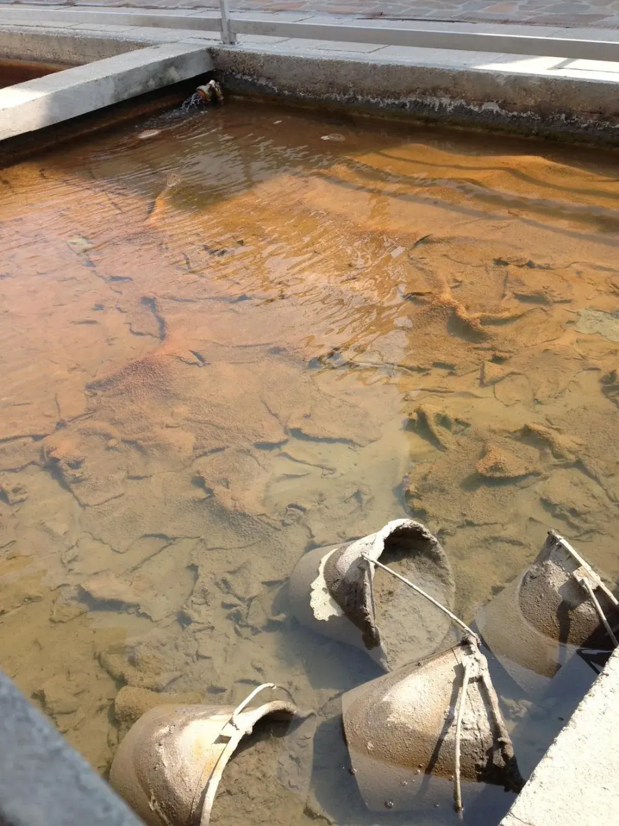 Hot Spring Bath, Other Animals in Hotel Terme Principe