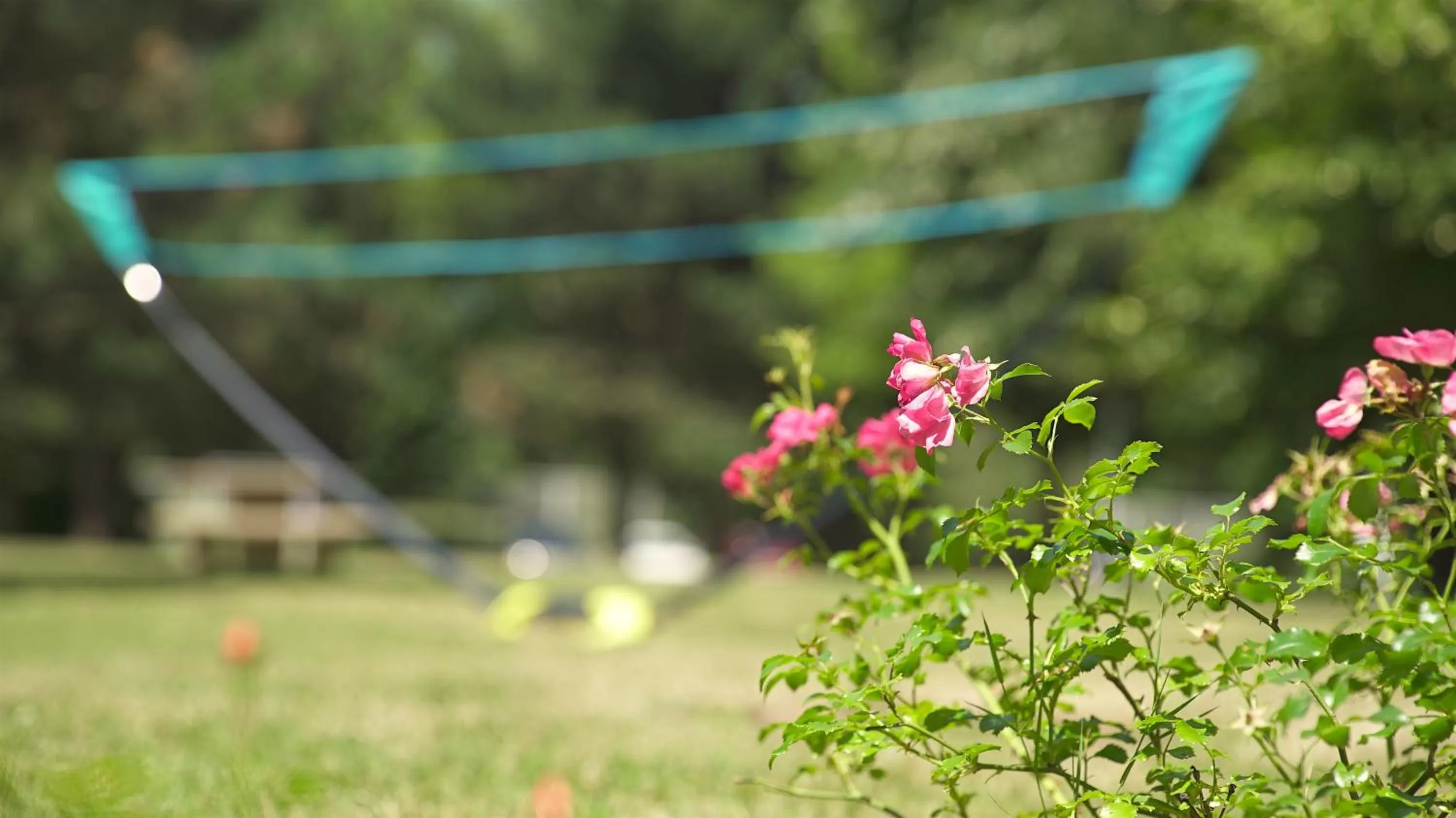 Garden in Mercure Paris Roissy CDG