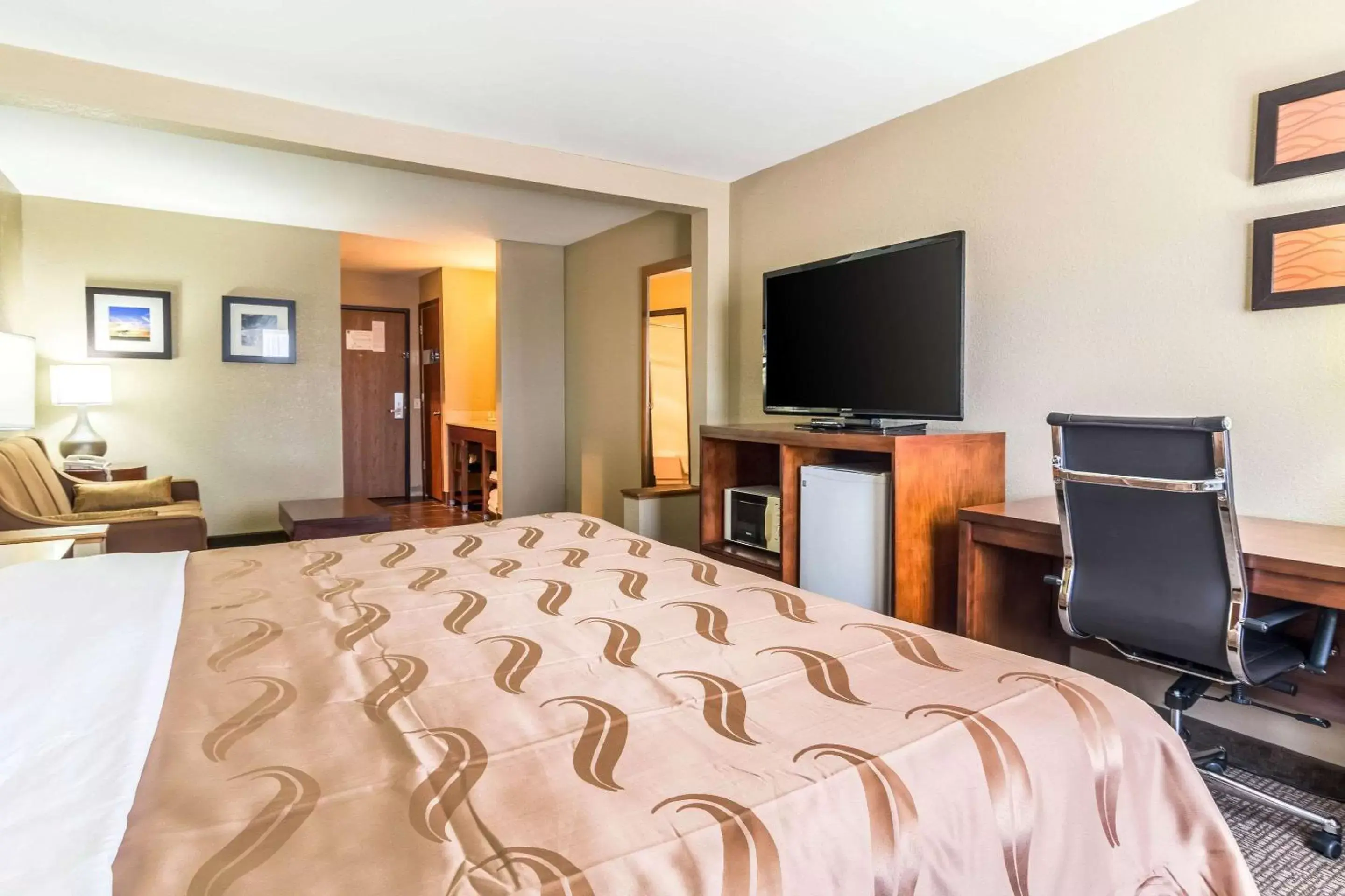 Bedroom, TV/Entertainment Center in Quality Inn & Suites Salem near I-57