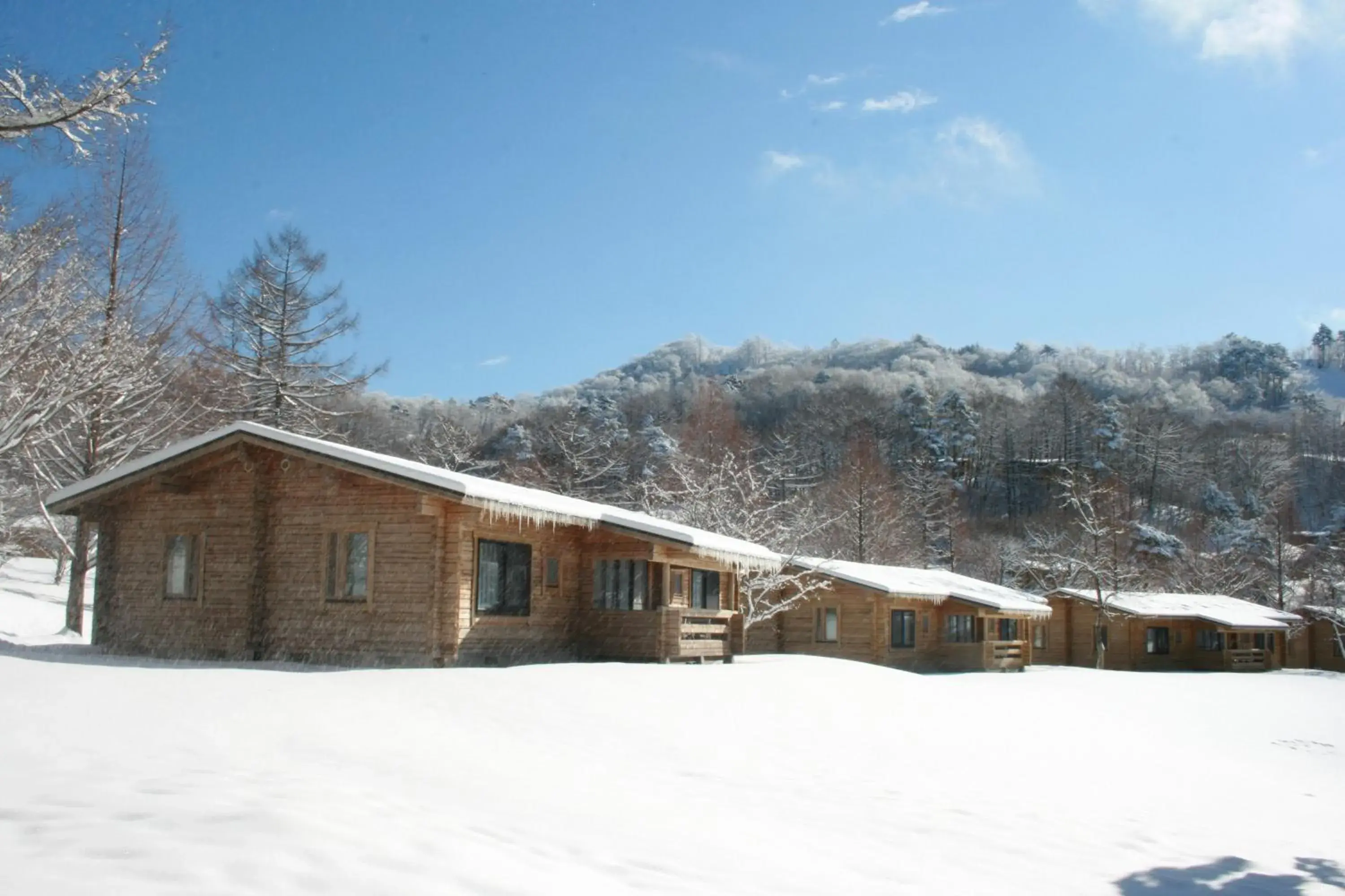 Property building, Winter in Karuizawa Prince Hotel West