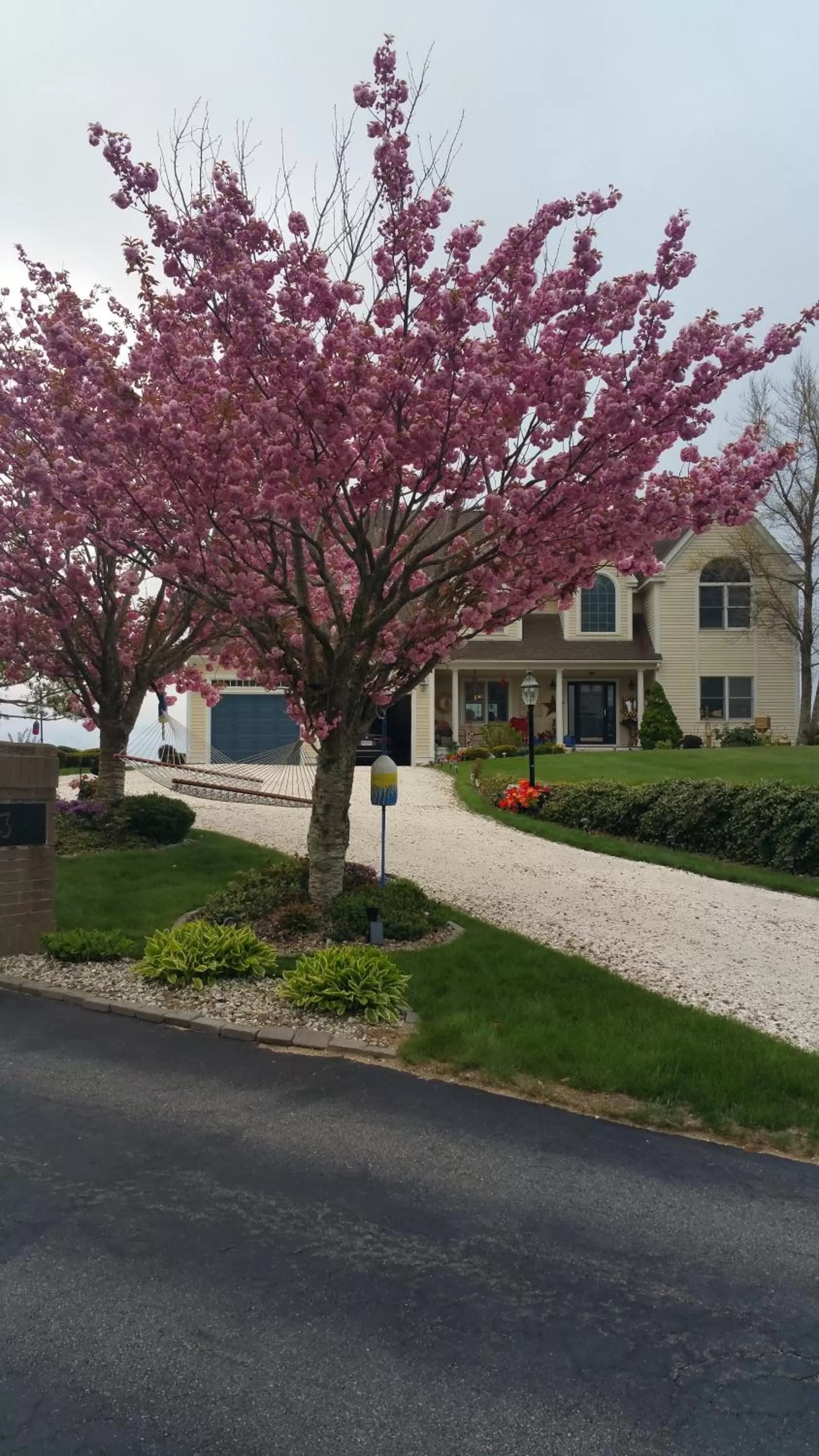 Property building in Inn 38 Oak Bluff Circle