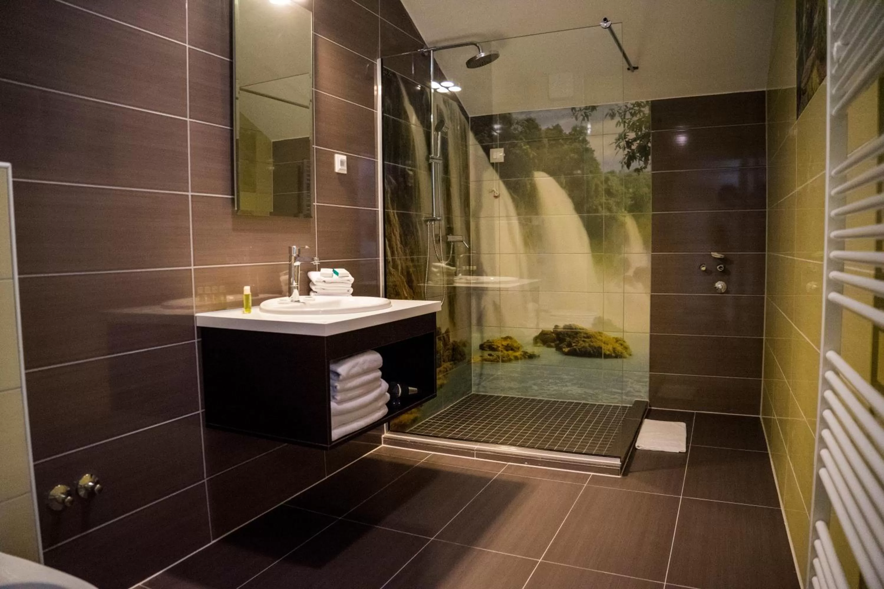 Toilet in Hotel Kapetanovina