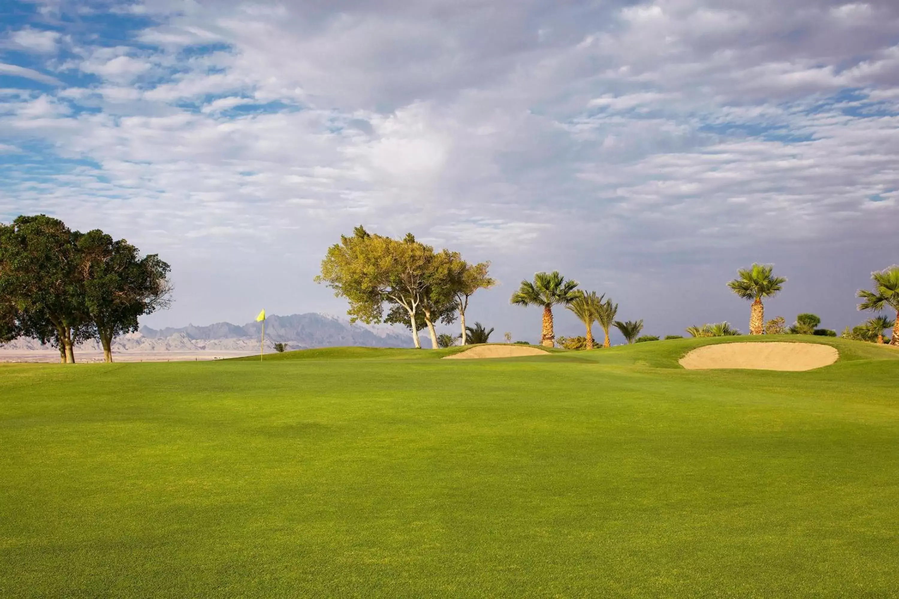 Golfcourse, Garden in Sheraton Soma Bay Resort