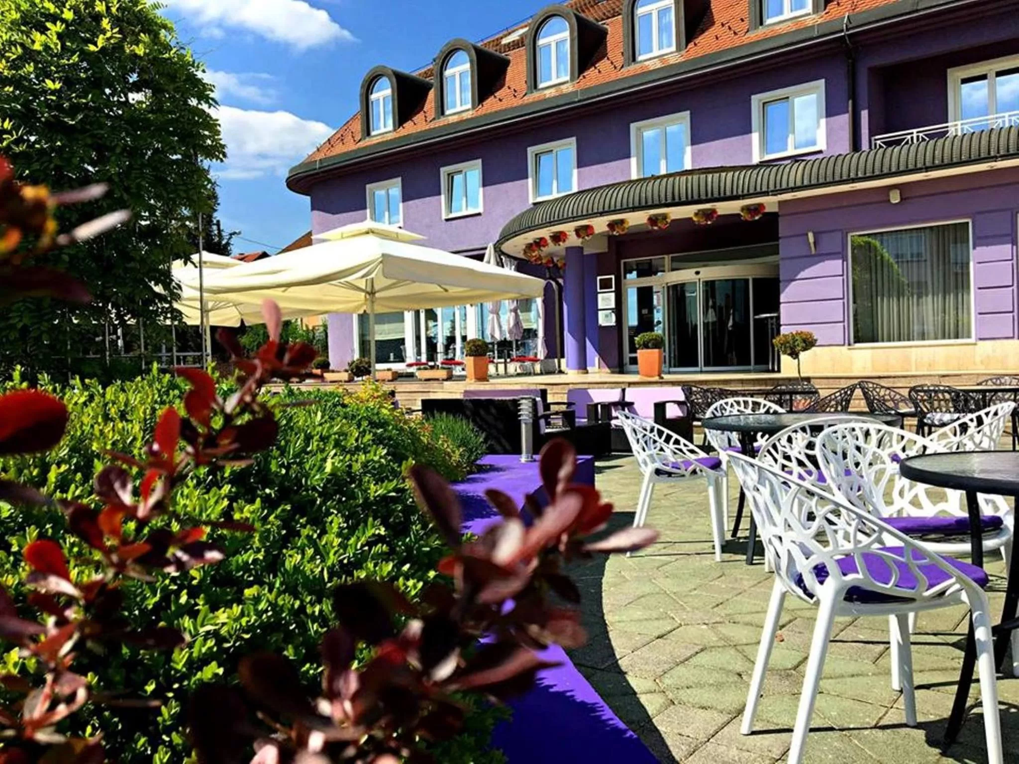 Patio in Hotel Phoenix