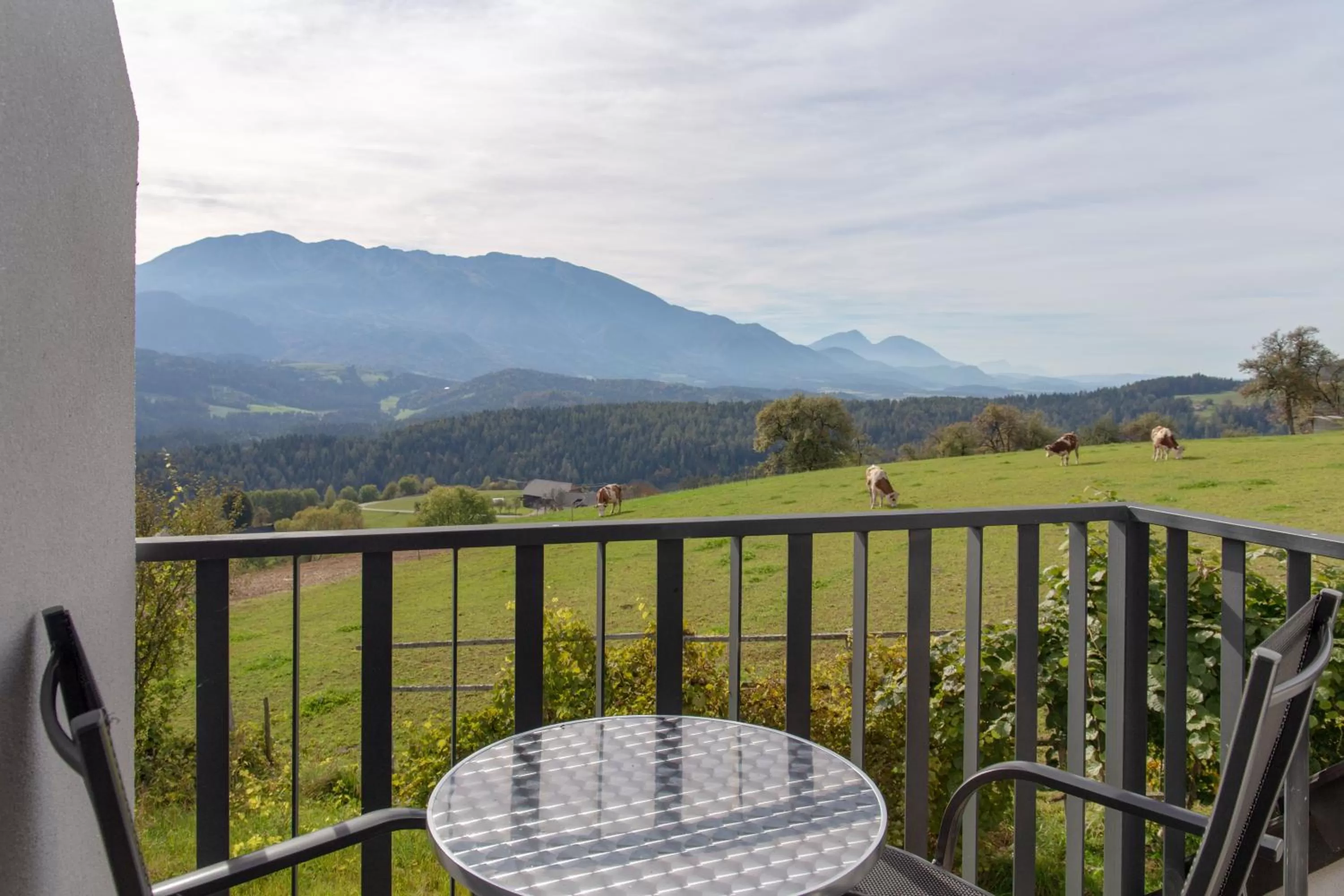 Property building in Vila Marin Miler