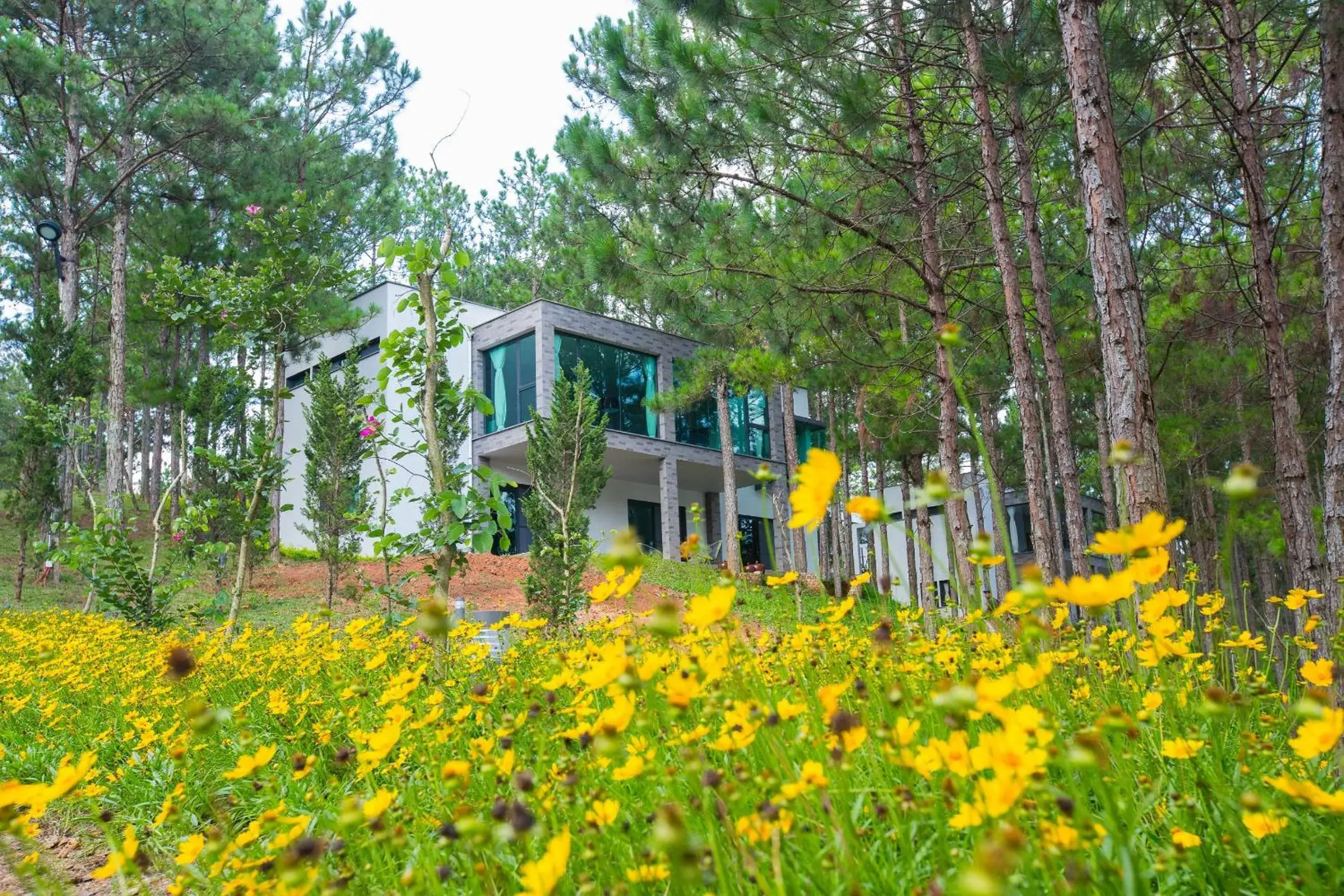 Property Building in Terracotta Hotel And Resort Dalat