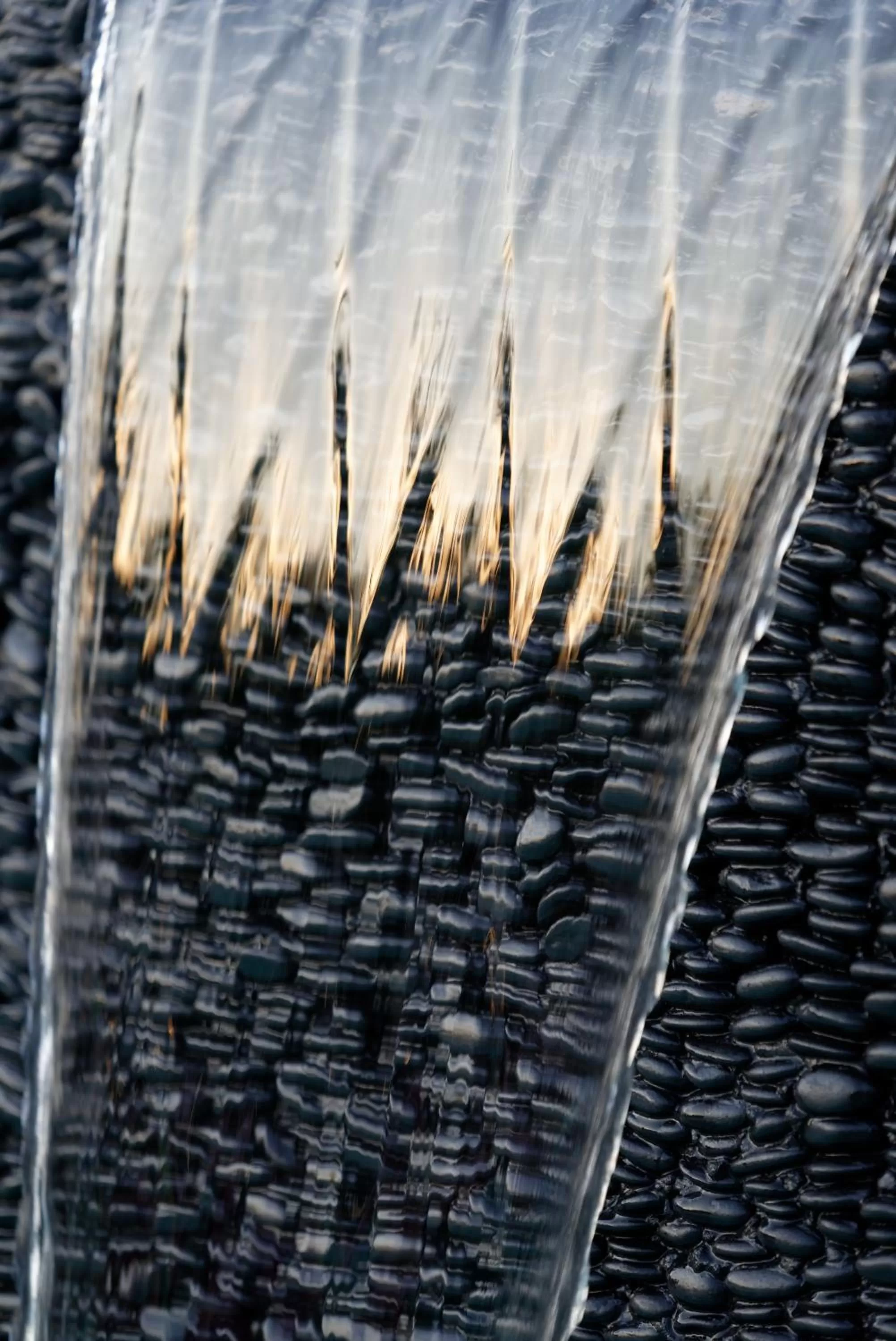 Swimming pool in Domaine la Pierre Blanche