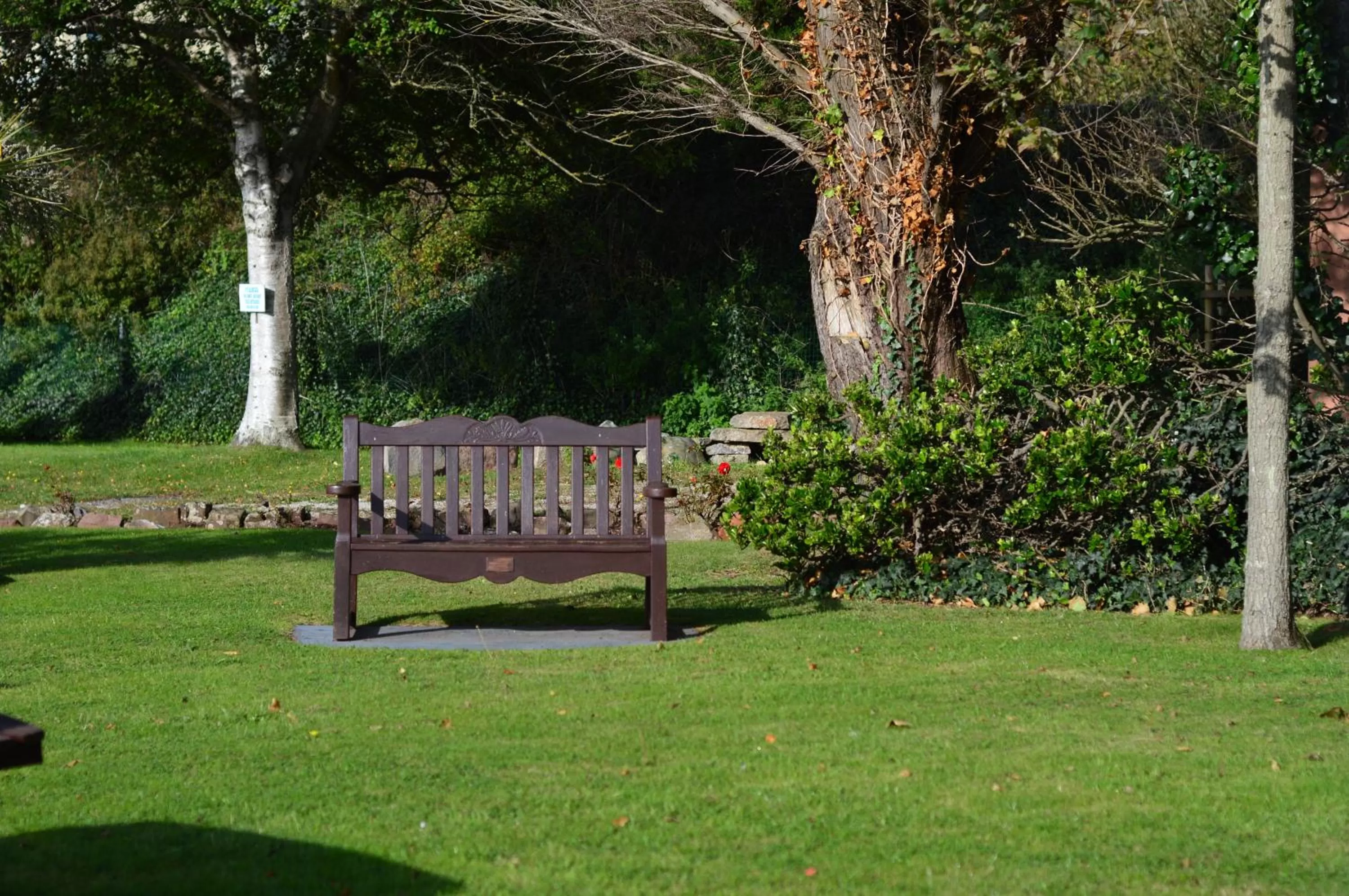 Garden in Livermead House Hotel