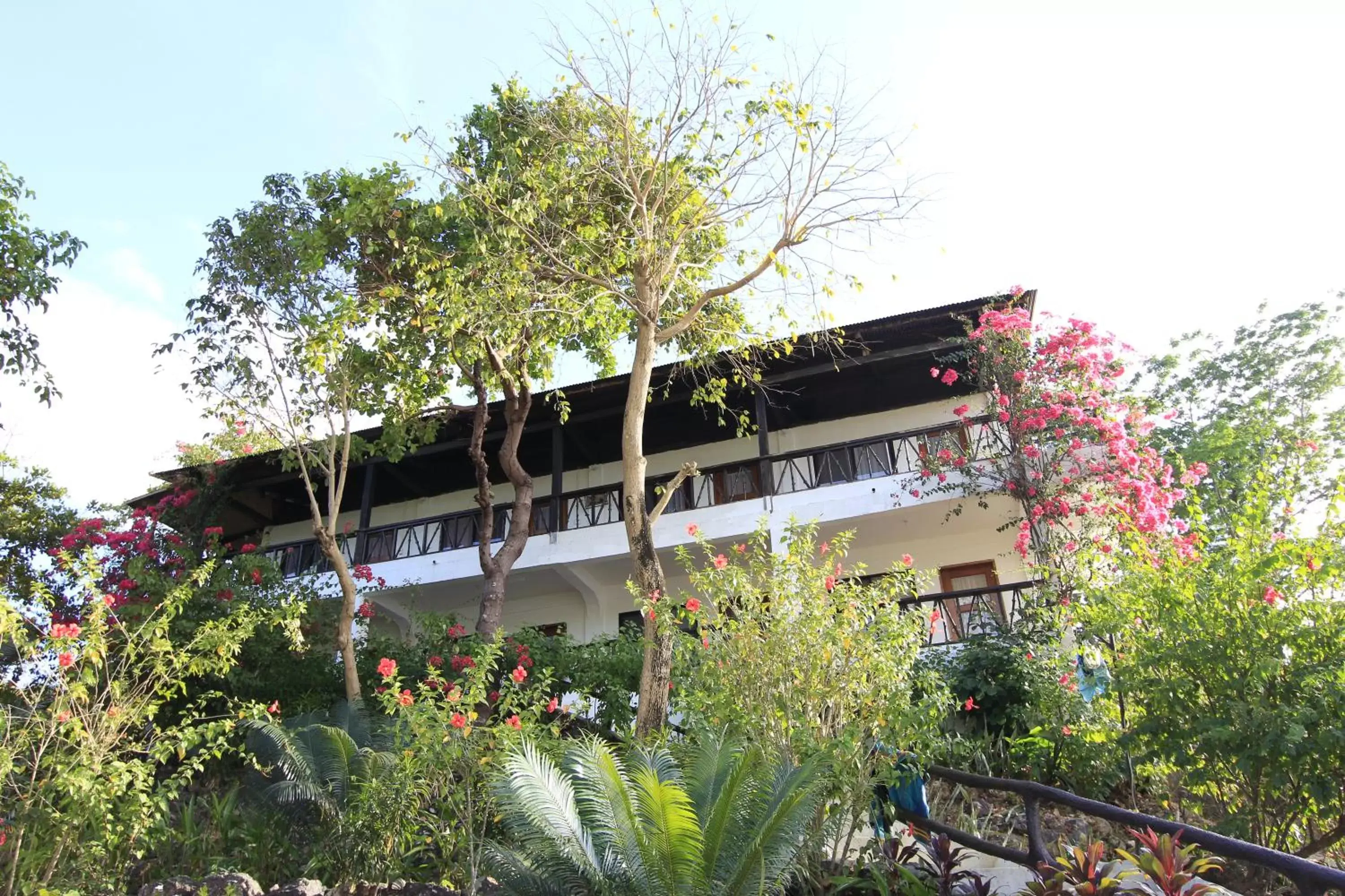 Property Building in Discovery Island Resort