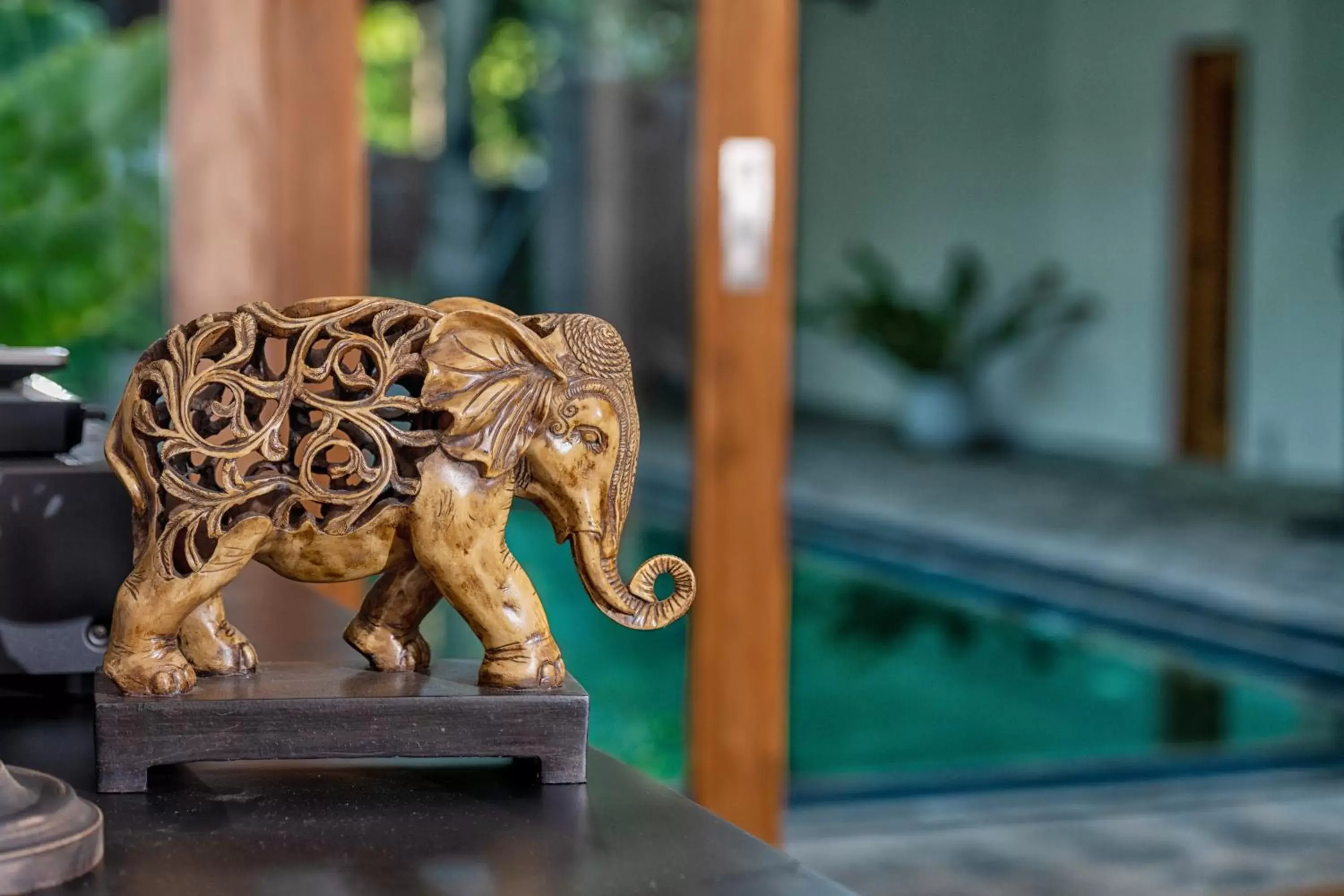 Swimming pool in Aryana Boutique Hotel Swimming pool in Aryana Boutique Hotel