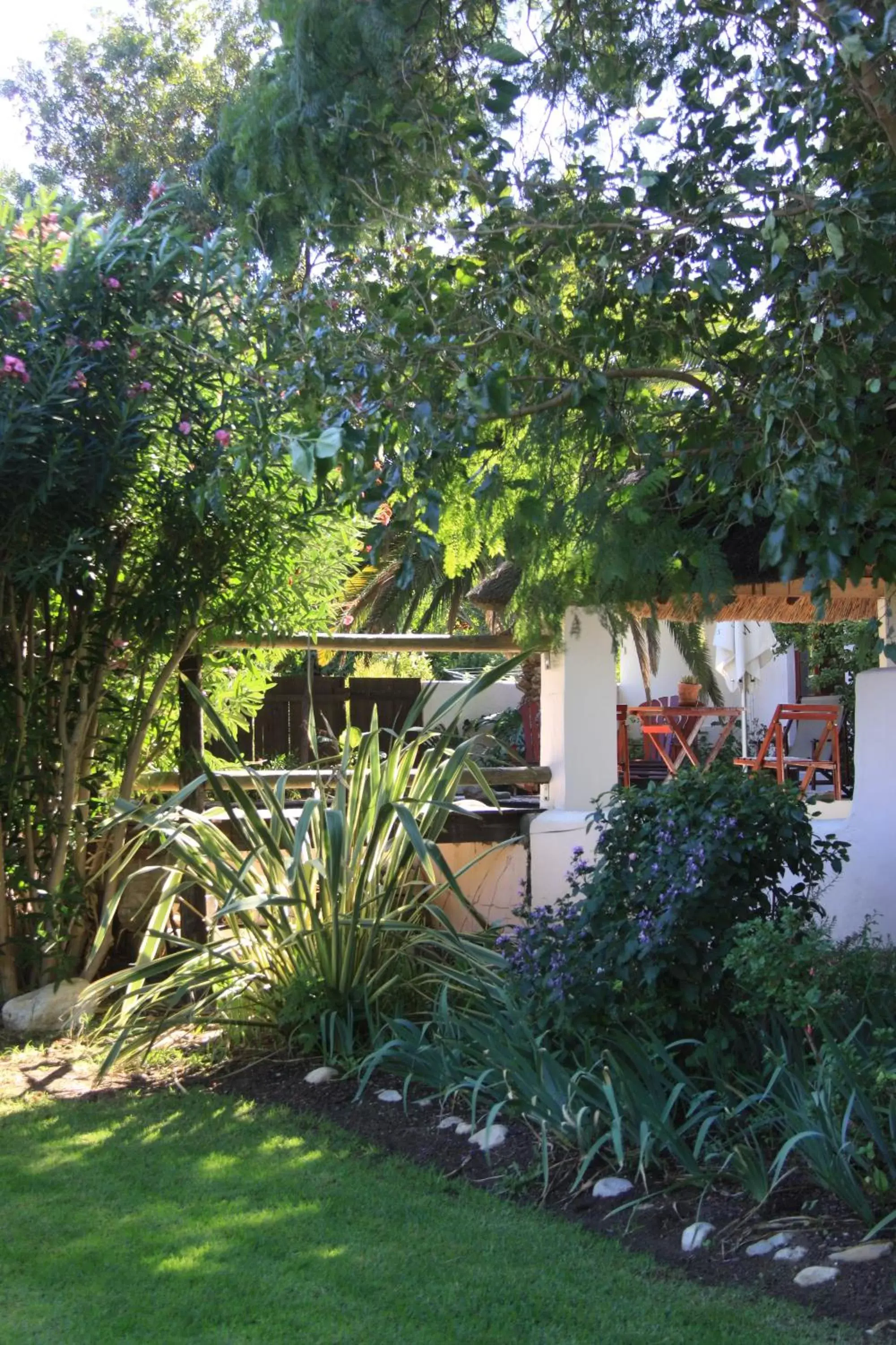 Garden, Property Building in Mimosa Lodge