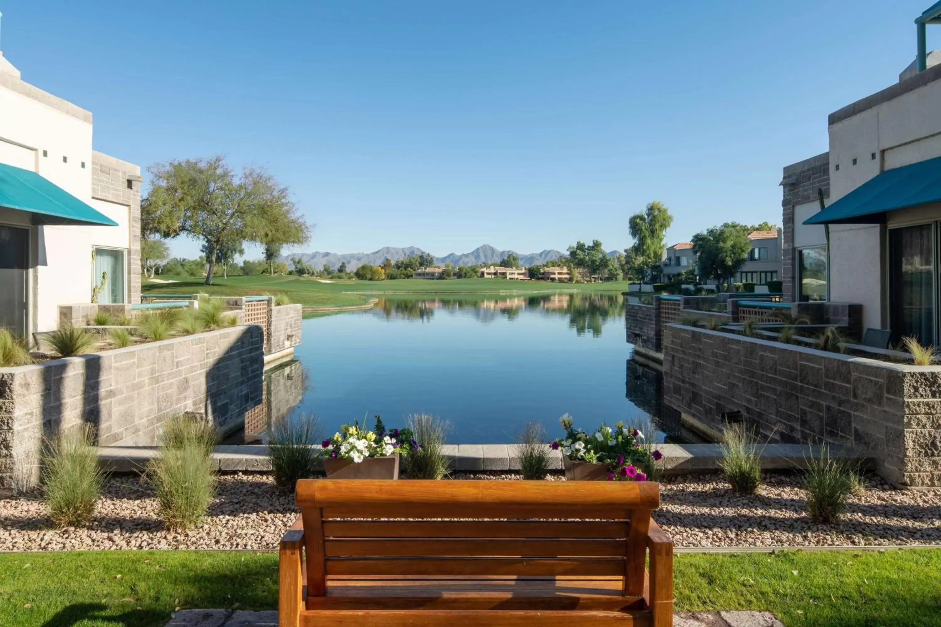 View (from property/room) in Hyatt Regency Scottsdale Resort and Spa