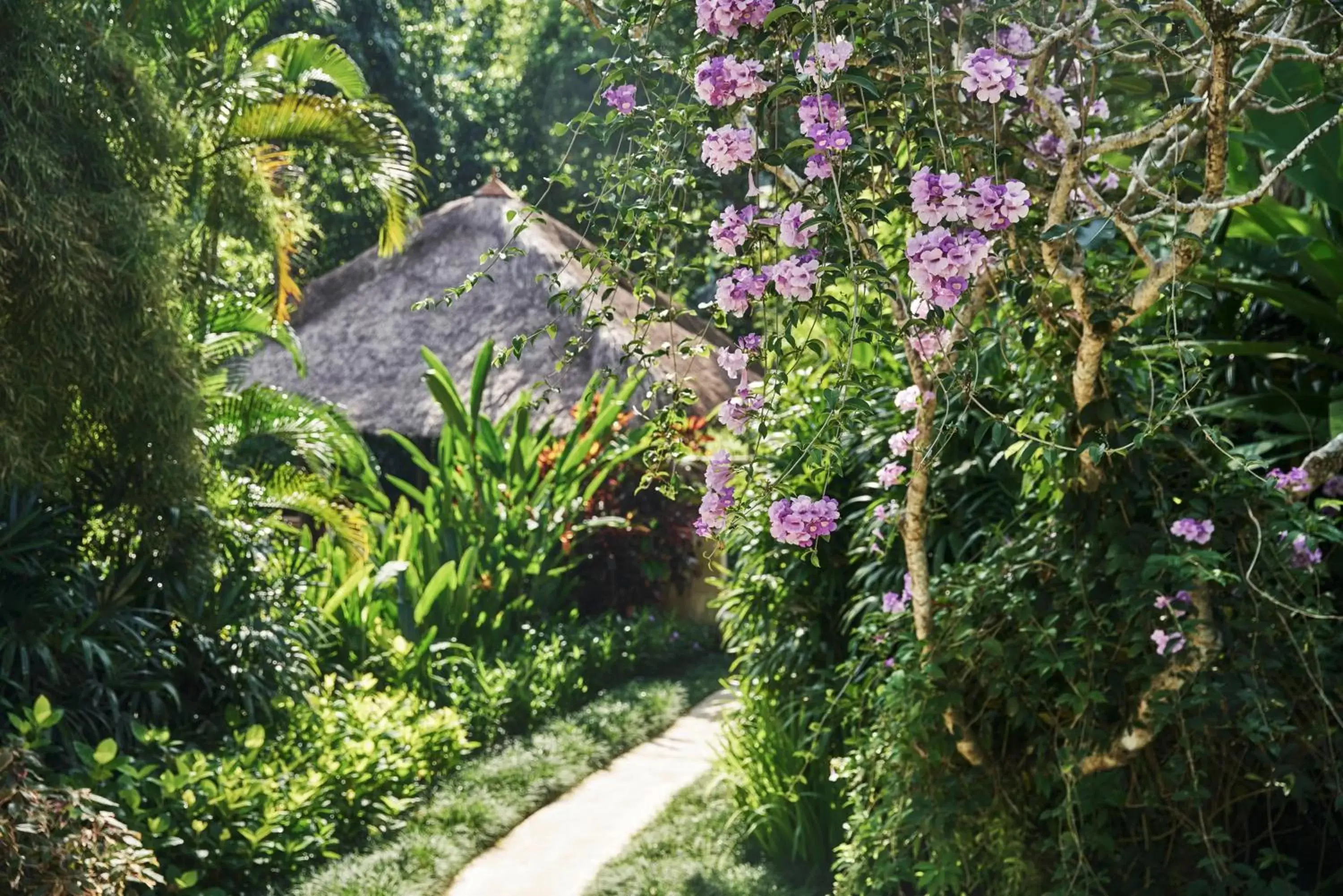 Area and facilities, Garden in Four Seasons Resort Bali at Sayan