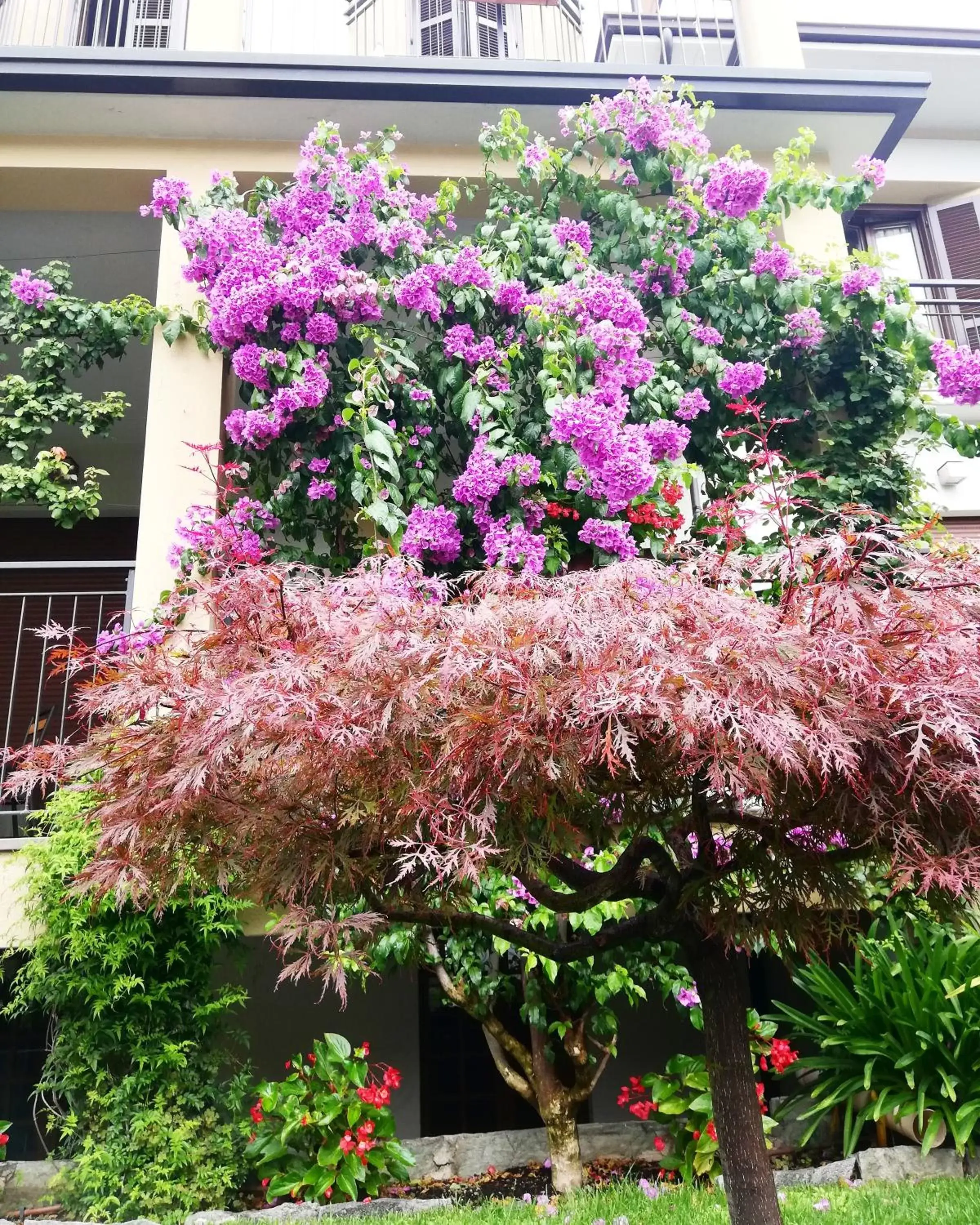 Garden in Hotel Fioroni