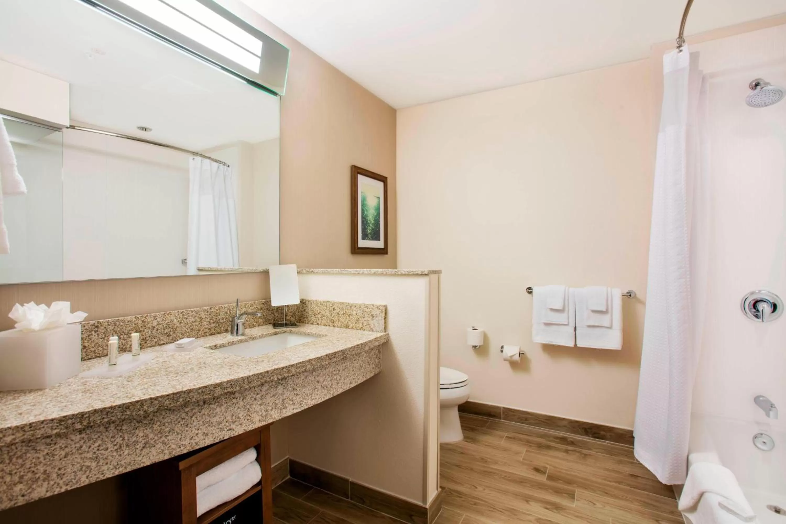 Bathroom in Courtyard by Marriott Faro Blanco Resort