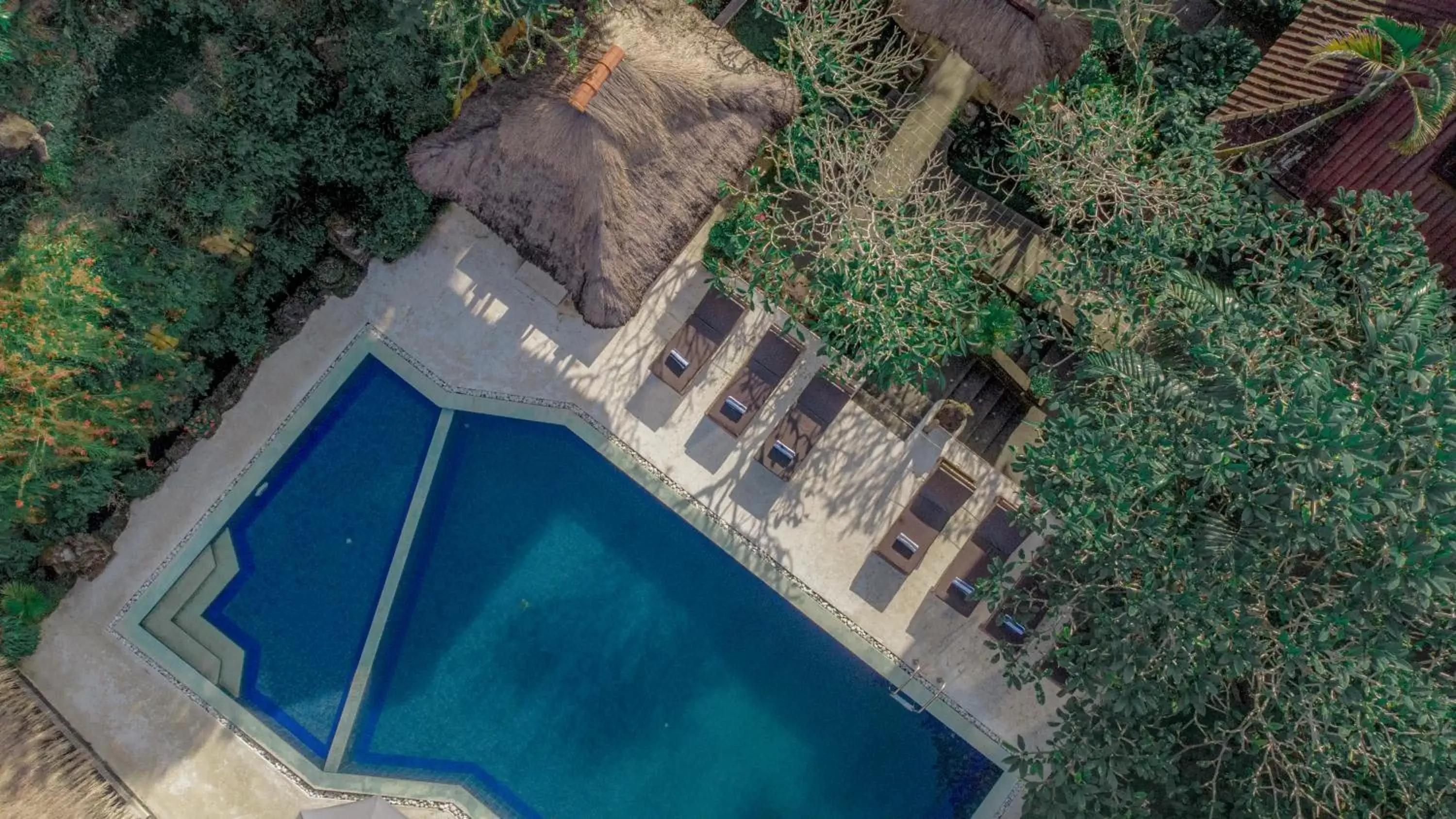 Swimming pool, Pool View in Artini 2 Cottage Ubud