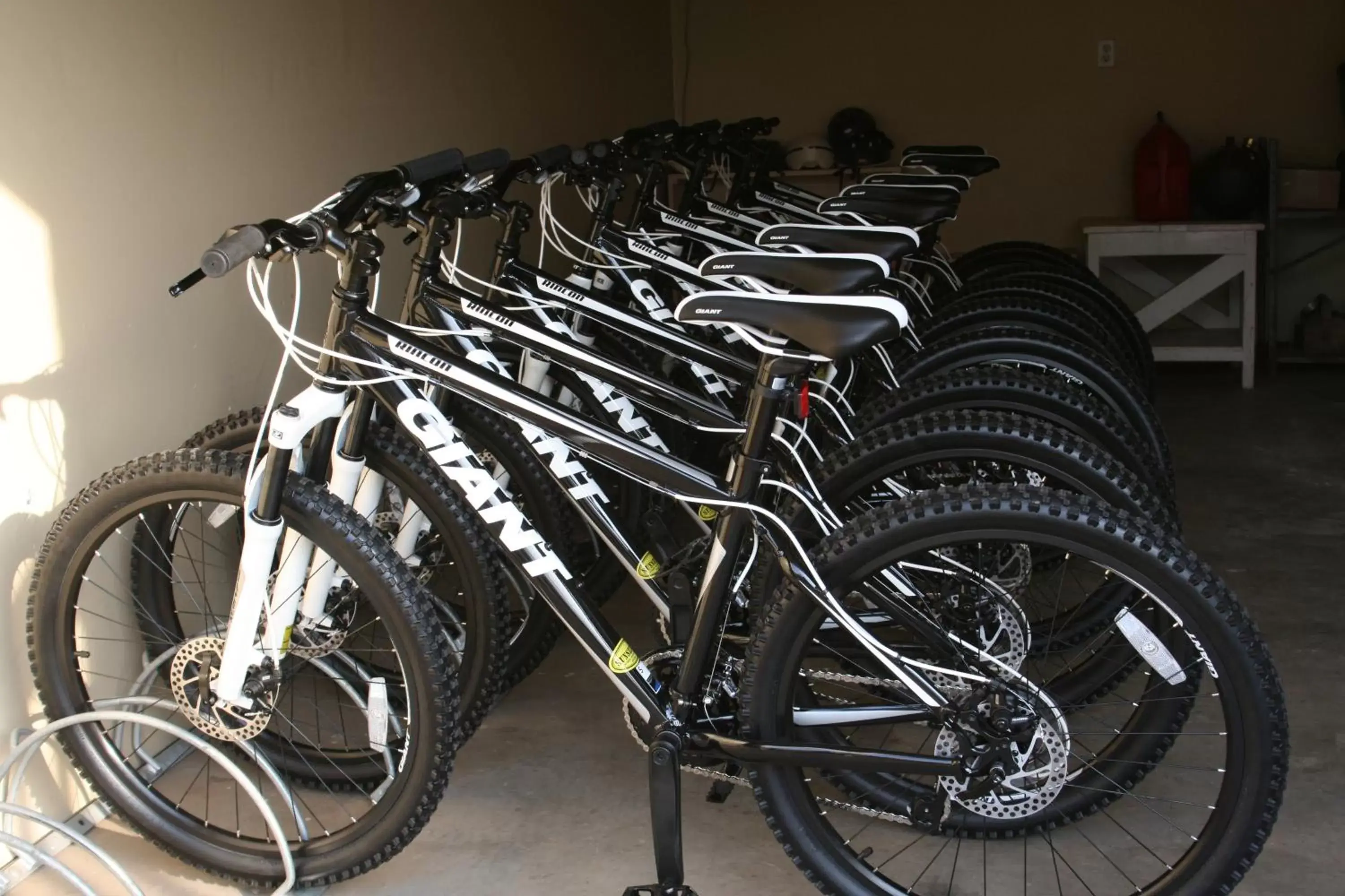 Cycling, Biking in Southern Cross Guest Ranch