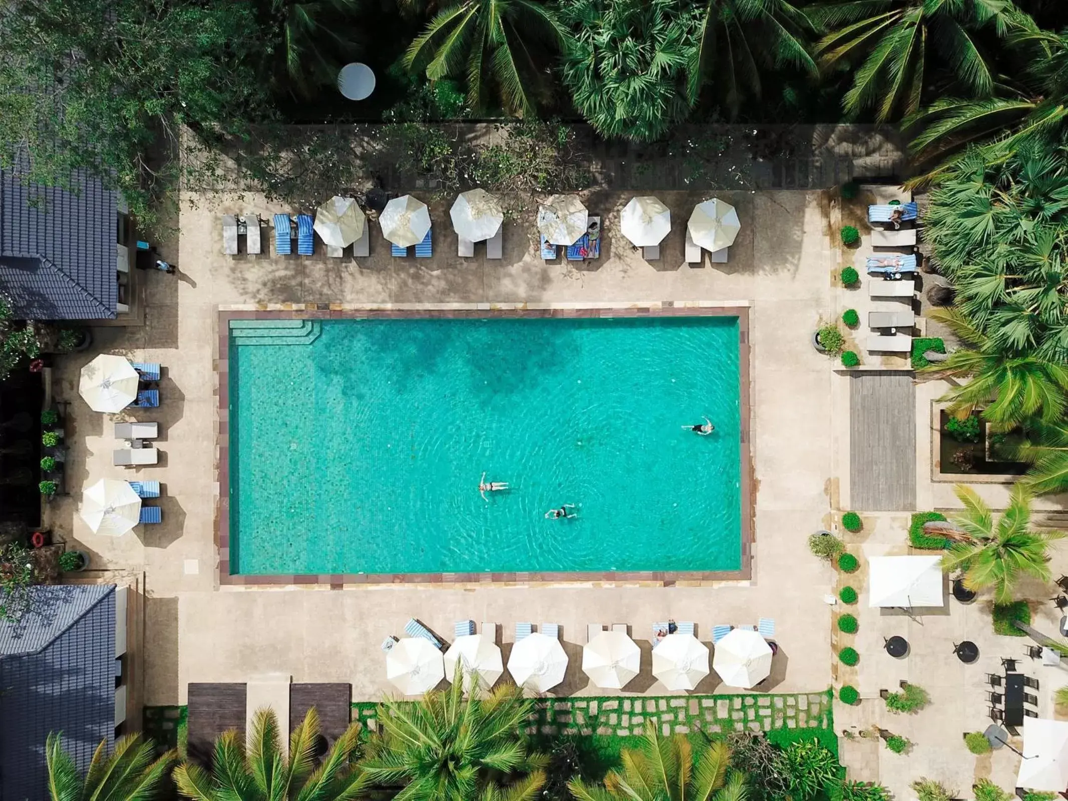 Pool View in Lotus Blanc Hotel
