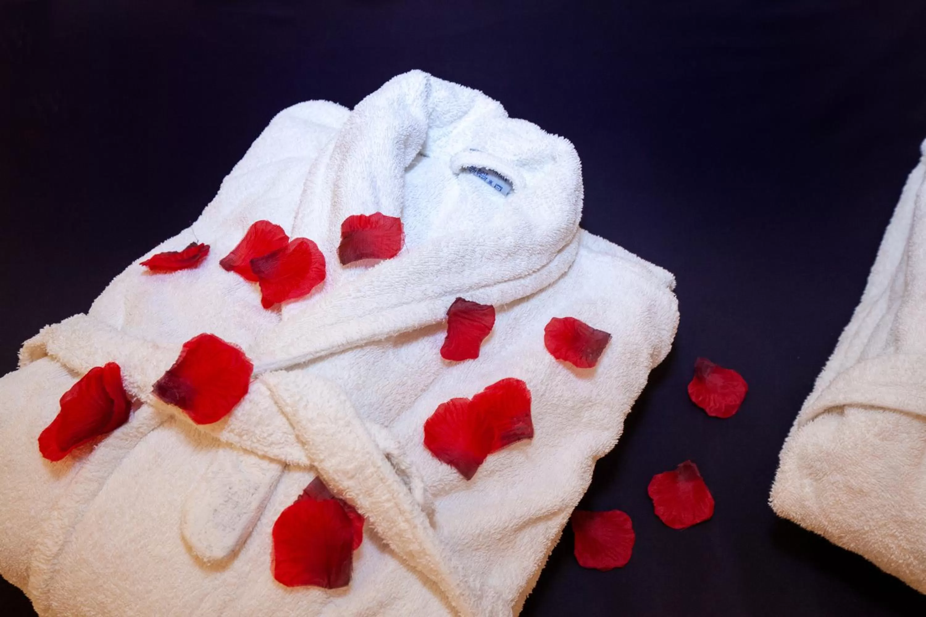 Spa and wellness centre/facilities in Relax Hotel & SPA Stuttgart