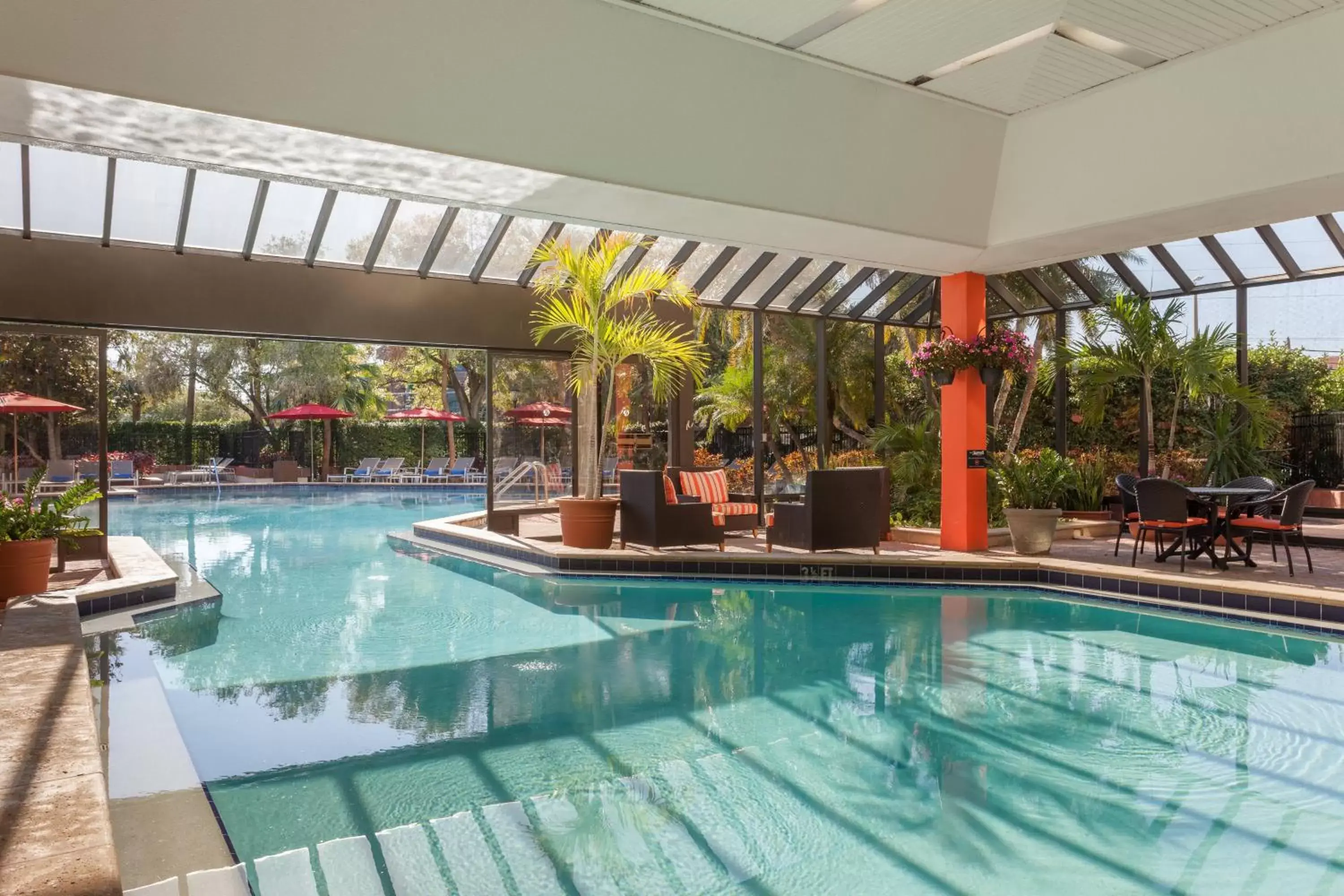 Swimming Pool in Marriott Tampa Westshore